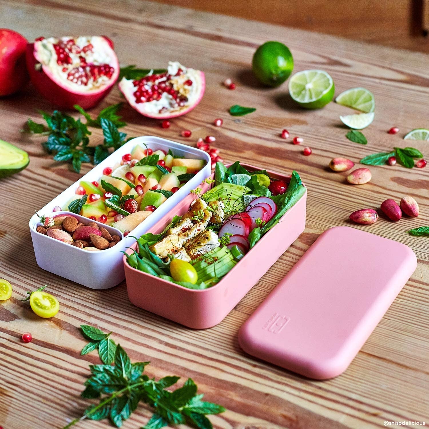Monbento MB Original Bento Box (3 Colours) - Pupsik Singapore