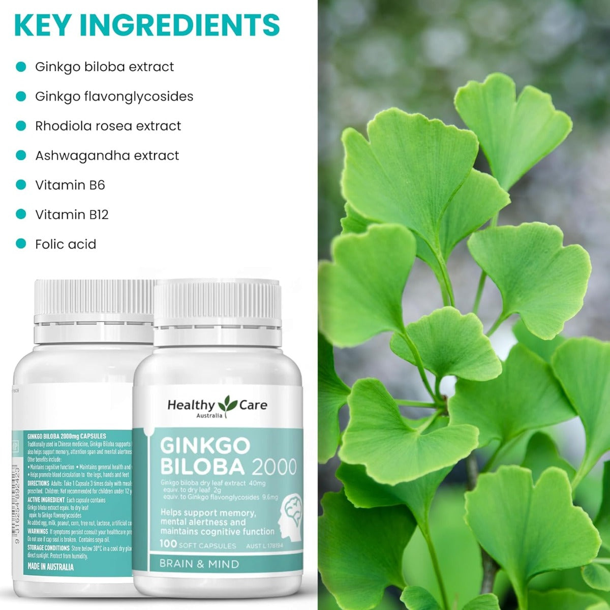 Healthy Care Ginkgo Biloba 2000mg, 100 caps (Exp 07/27)