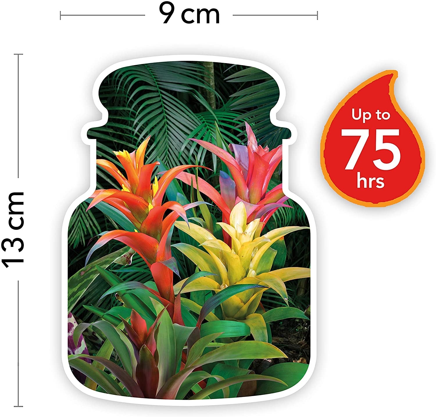 Yankee Candle Medium Jar Candle (14.5oz) - Tropical Jungle