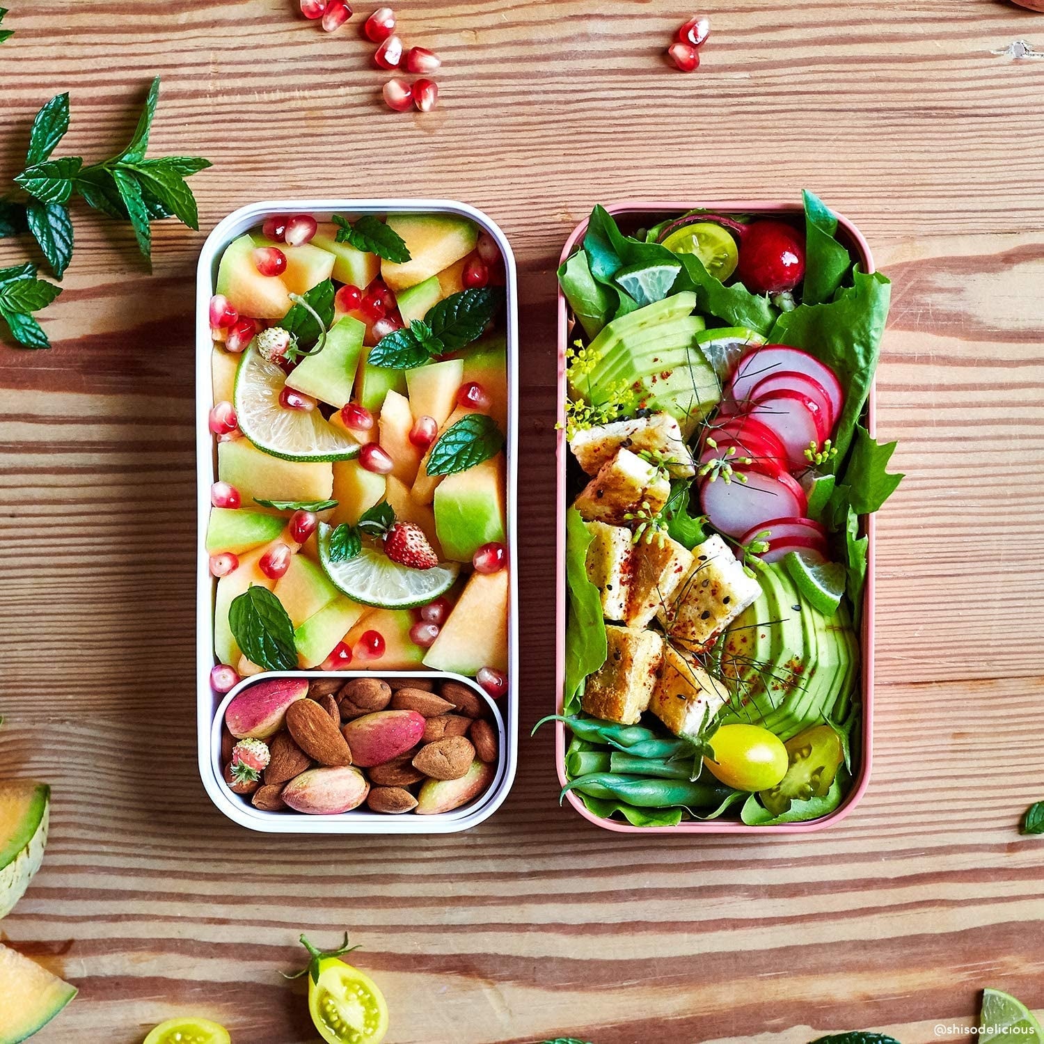 Monbento MB Original Bento Box (3 Colours) - Pupsik Singapore