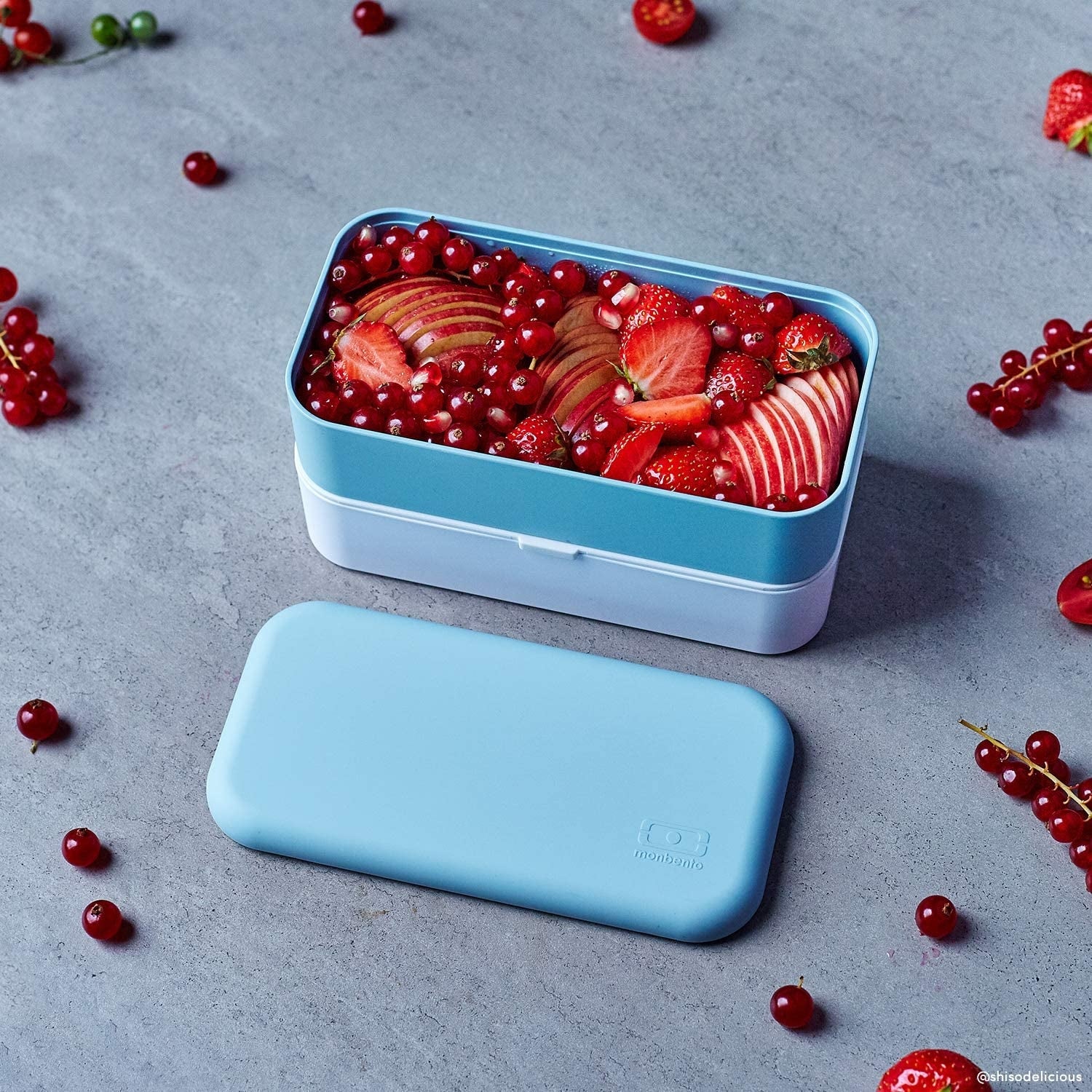 Monbento MB Original Bento Box (3 Colours) - Pupsik Singapore