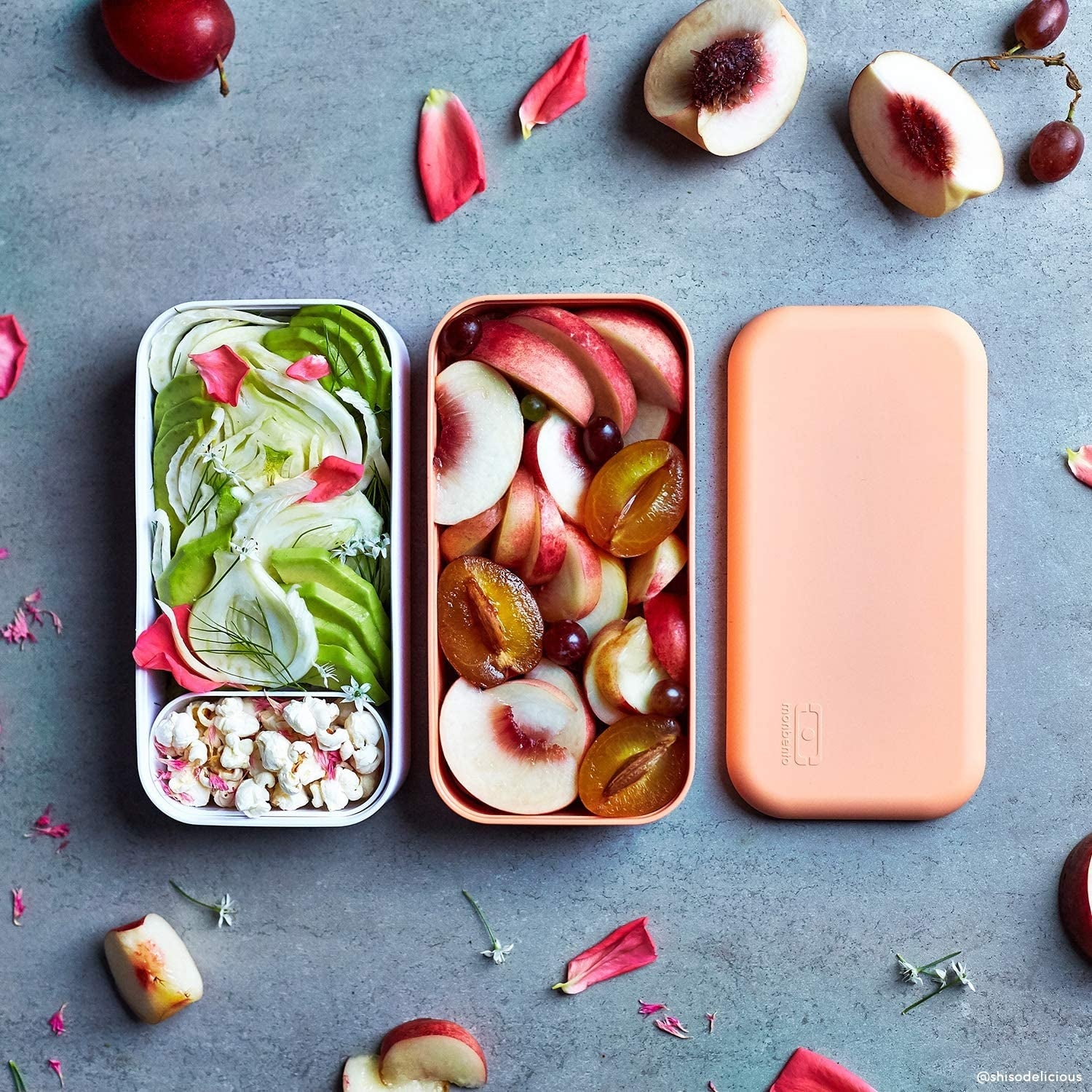 Monbento MB Original Bento Box (3 Colours) - Pupsik Singapore