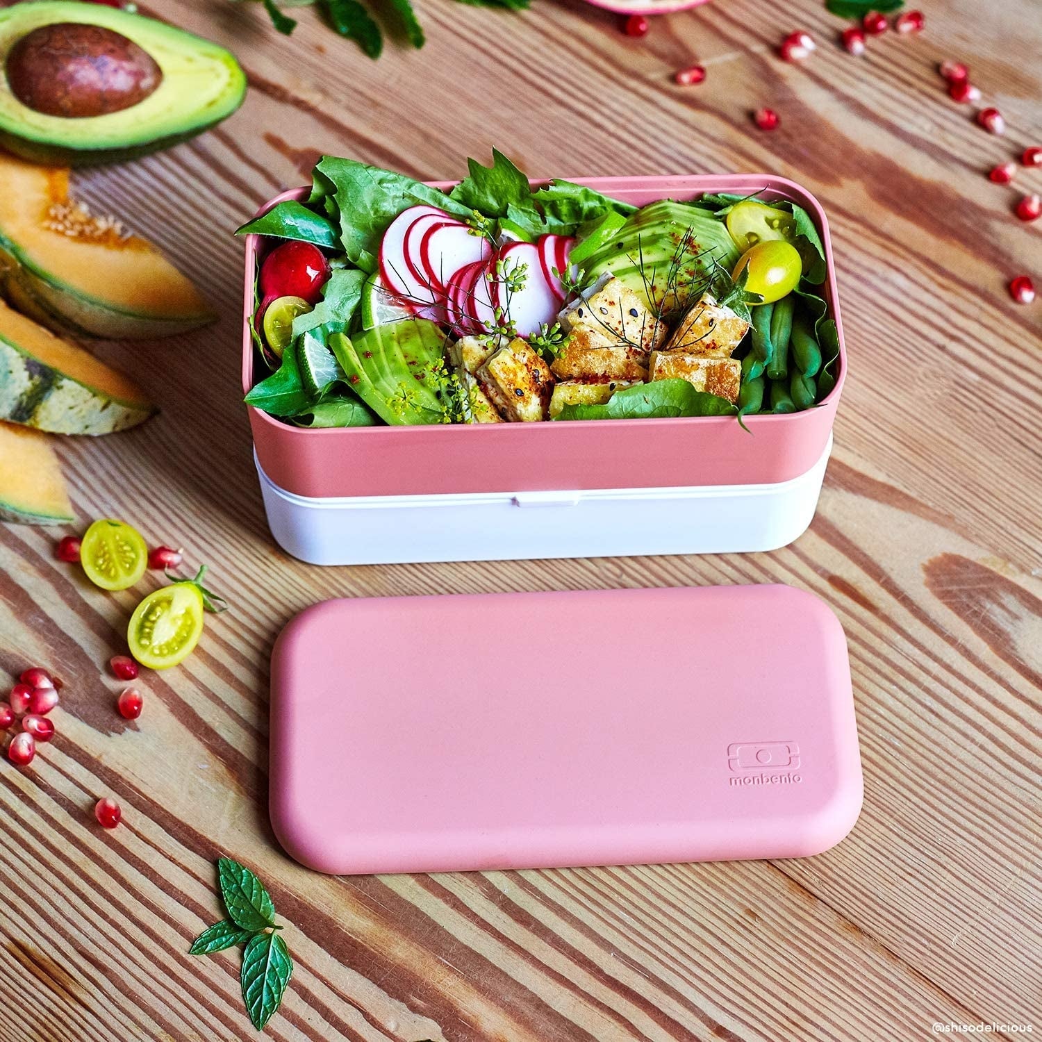 Monbento MB Original Bento Box (3 Colours) - Pupsik Singapore