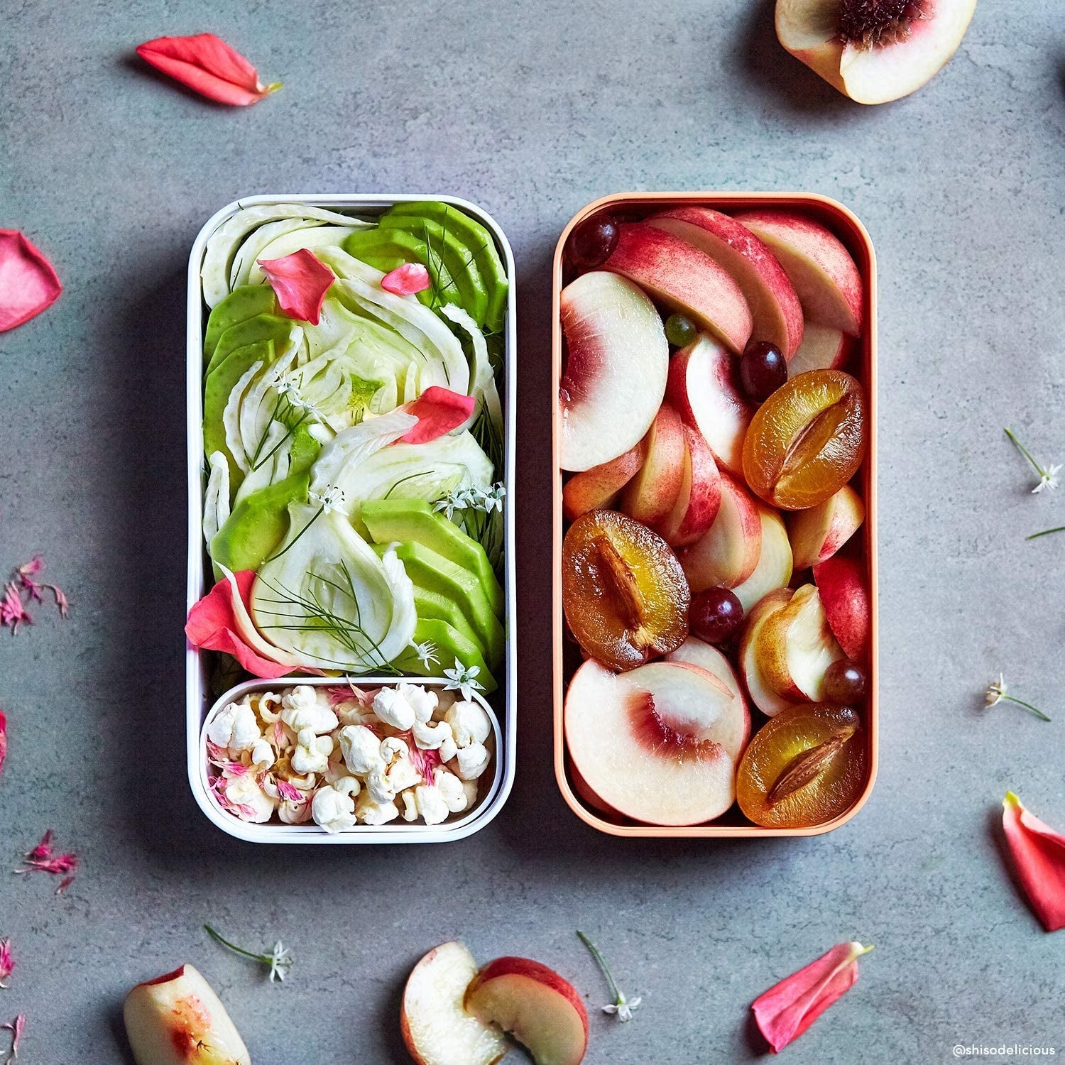 Monbento MB Original Bento Box (3 Colours) - Pupsik Singapore