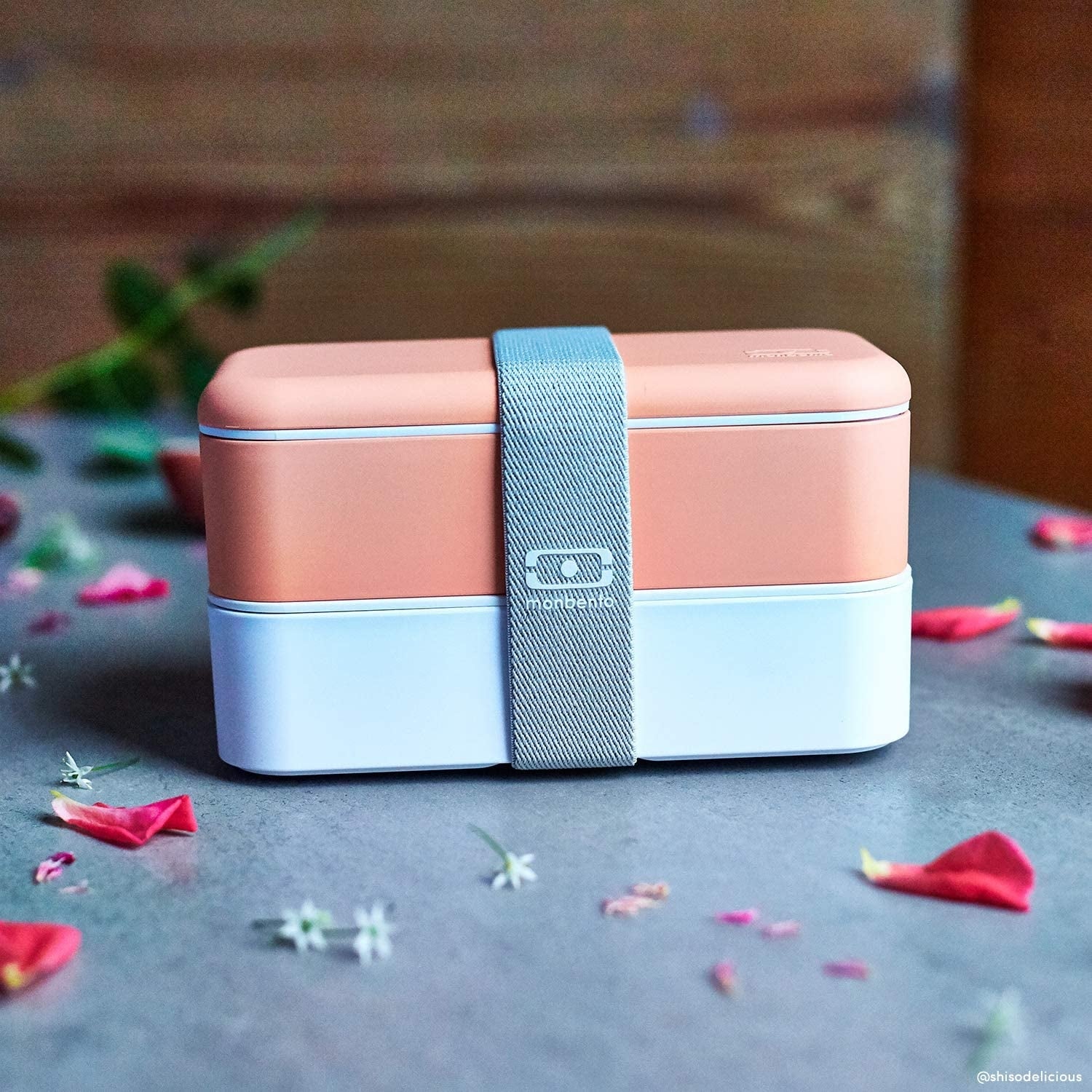 Monbento MB Original Bento Box (3 Colours) - Pupsik Singapore