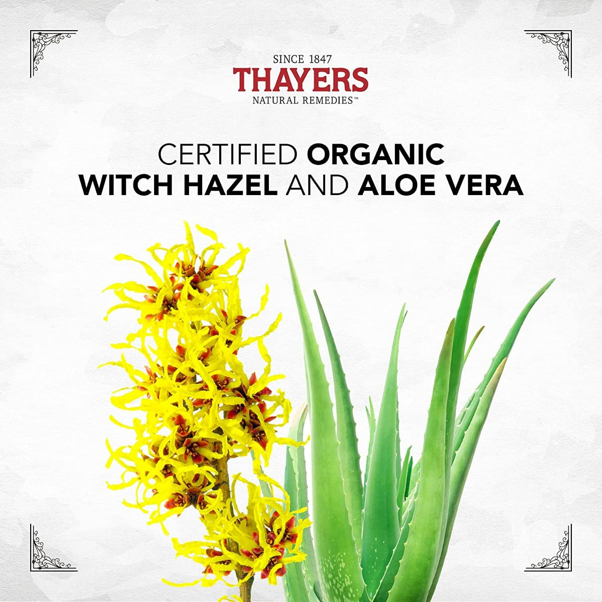 Thayers Witch Hazel Facial Toner w/ Aloe Vera, 355ml – Coconut Water