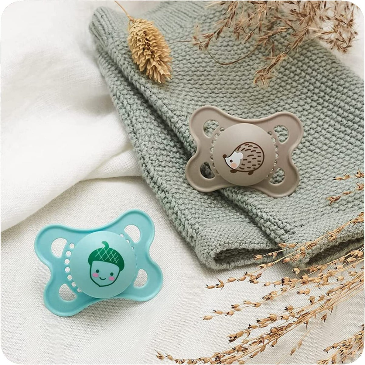 MAM Original Start Pacifier with Case, 2pk (2-6M) - 2 Assorted Designs