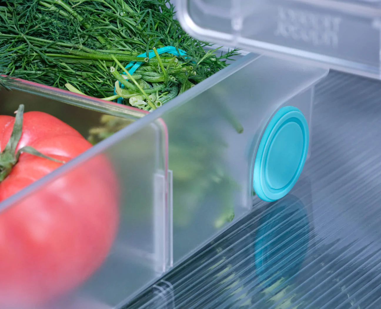 Joseph Joseph FridgeStore™ Extra Large Storage Bin