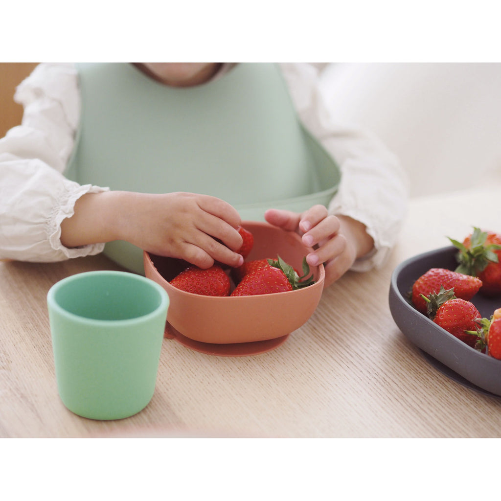 Beaba Silicone Meal Set (7 Colours) - Pupsik Singapore