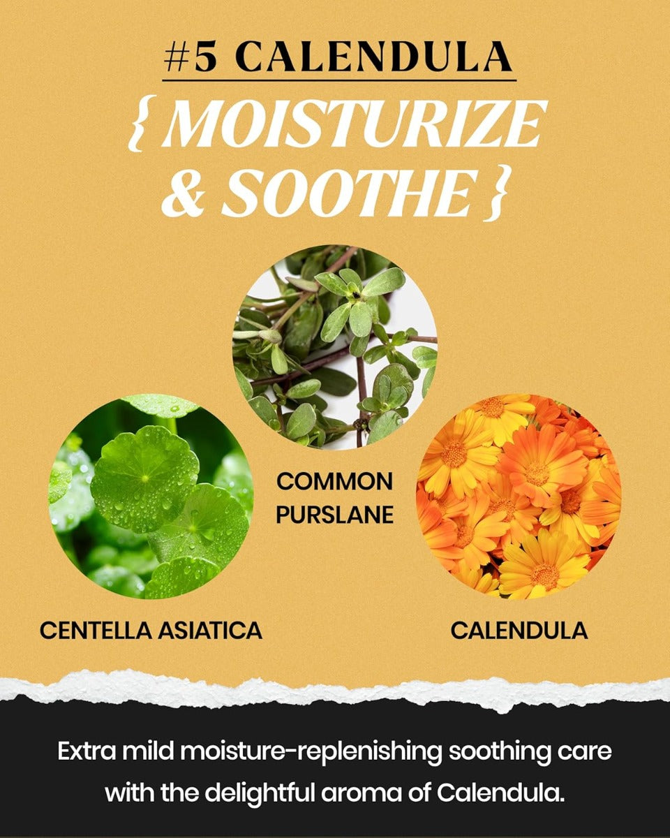 Lindsay Modeling Mask Cup Pack, 28g - Calendula (Exp 11/27)