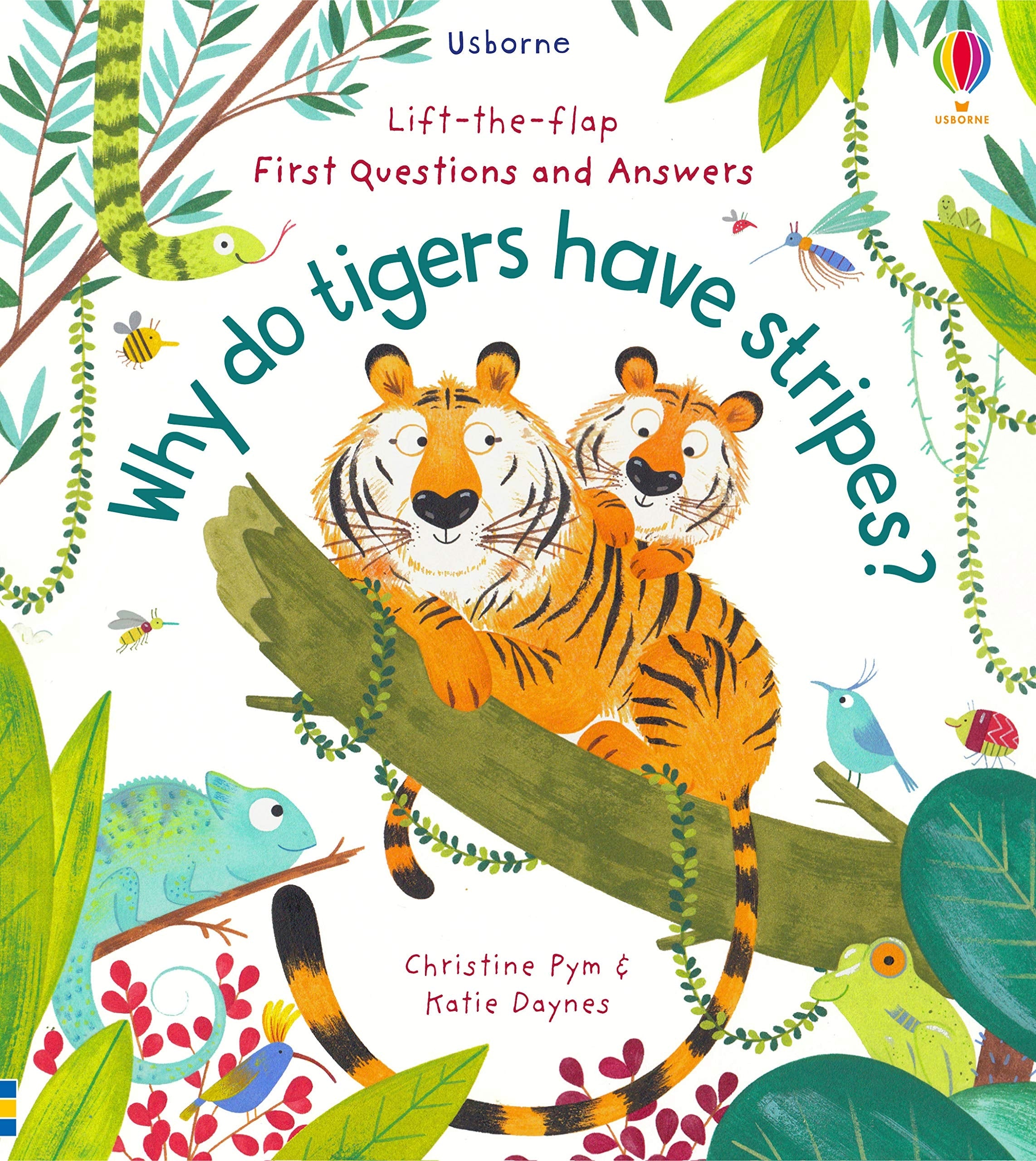 Usborne Lift-the-flap First Questions and Answers Board Book (2 Titles)