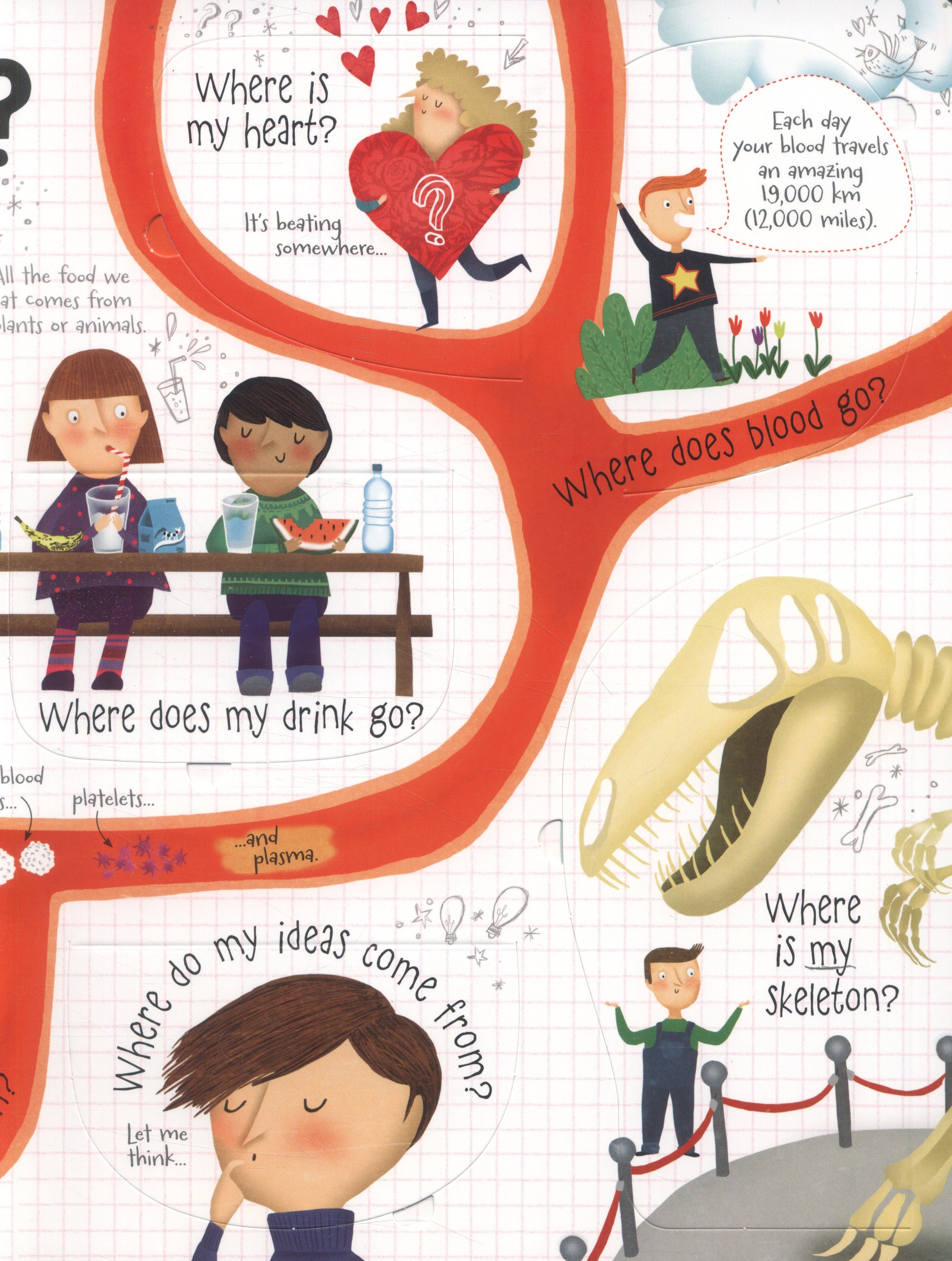 Usborne Lift-The-Flap Q&A Book (6 Titles) - Pupsik Singapore