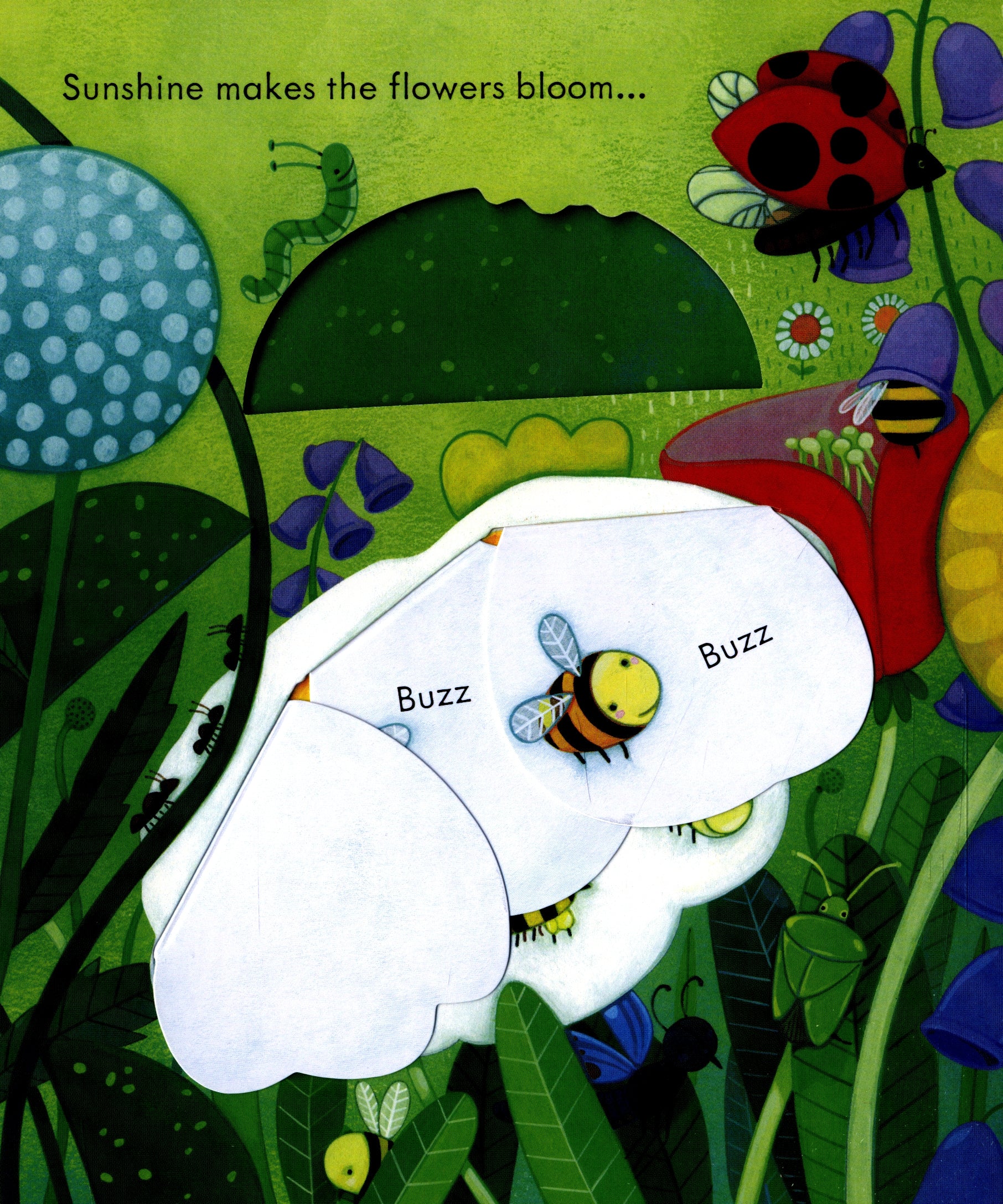 Usborne Peep Inside Learning Book (4 Titles) - Pupsik Singapore