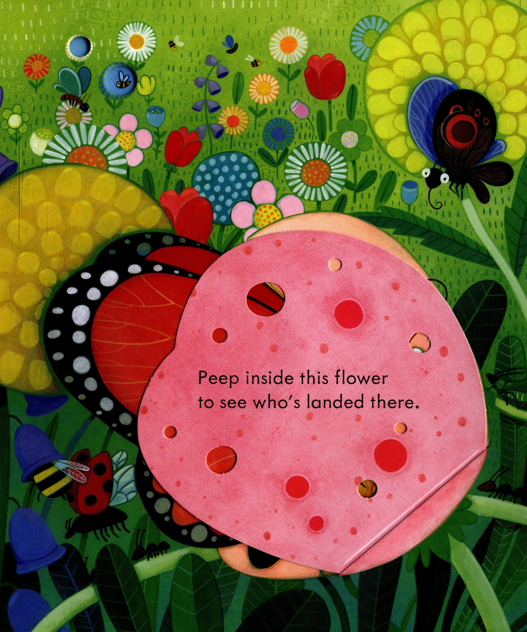 Usborne Peep Inside Learning Book (4 Titles) - Pupsik Singapore