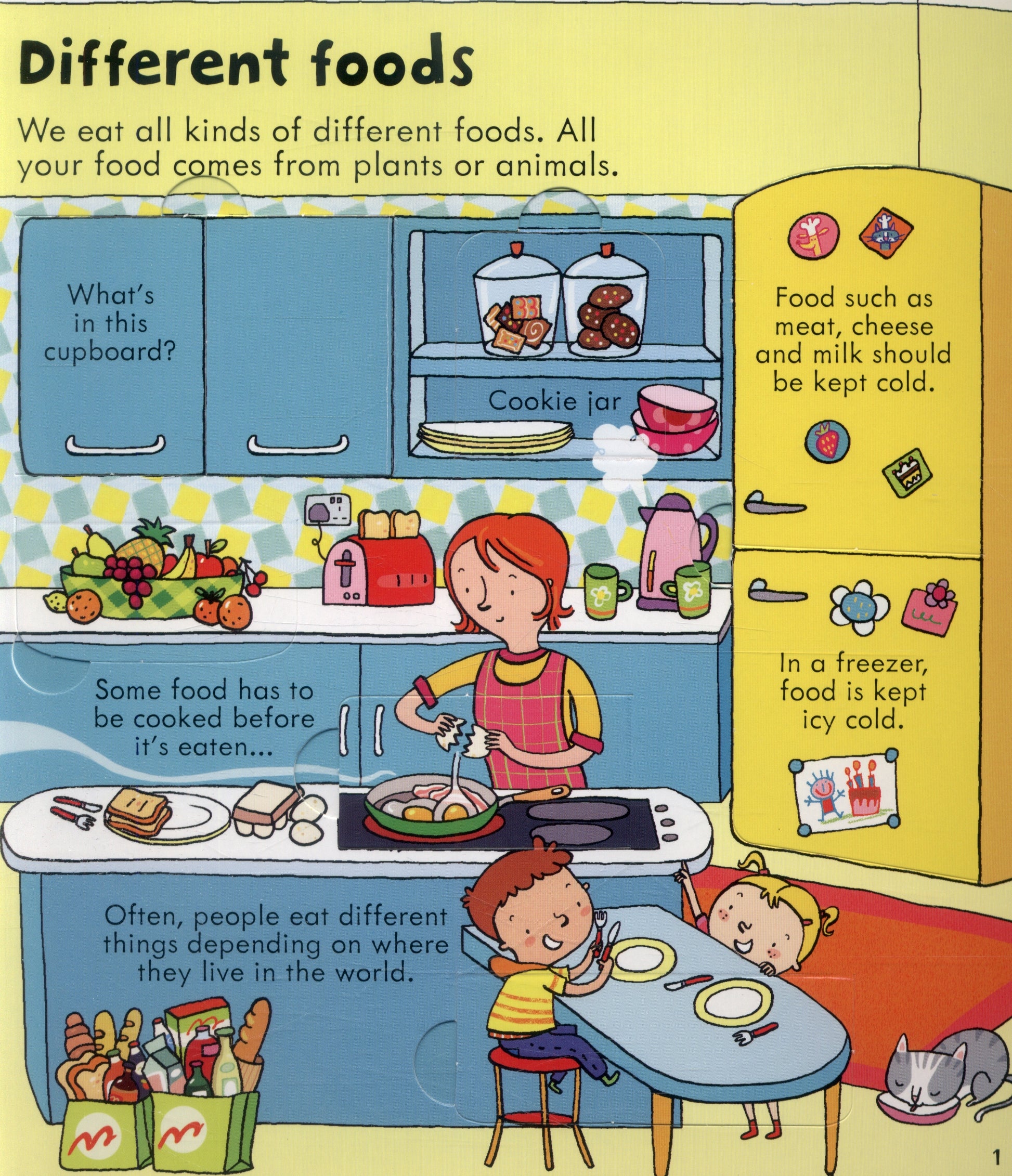 Usborne Lift-the-Flap Look Inside Book (10 Types) - Pupsik Singapore