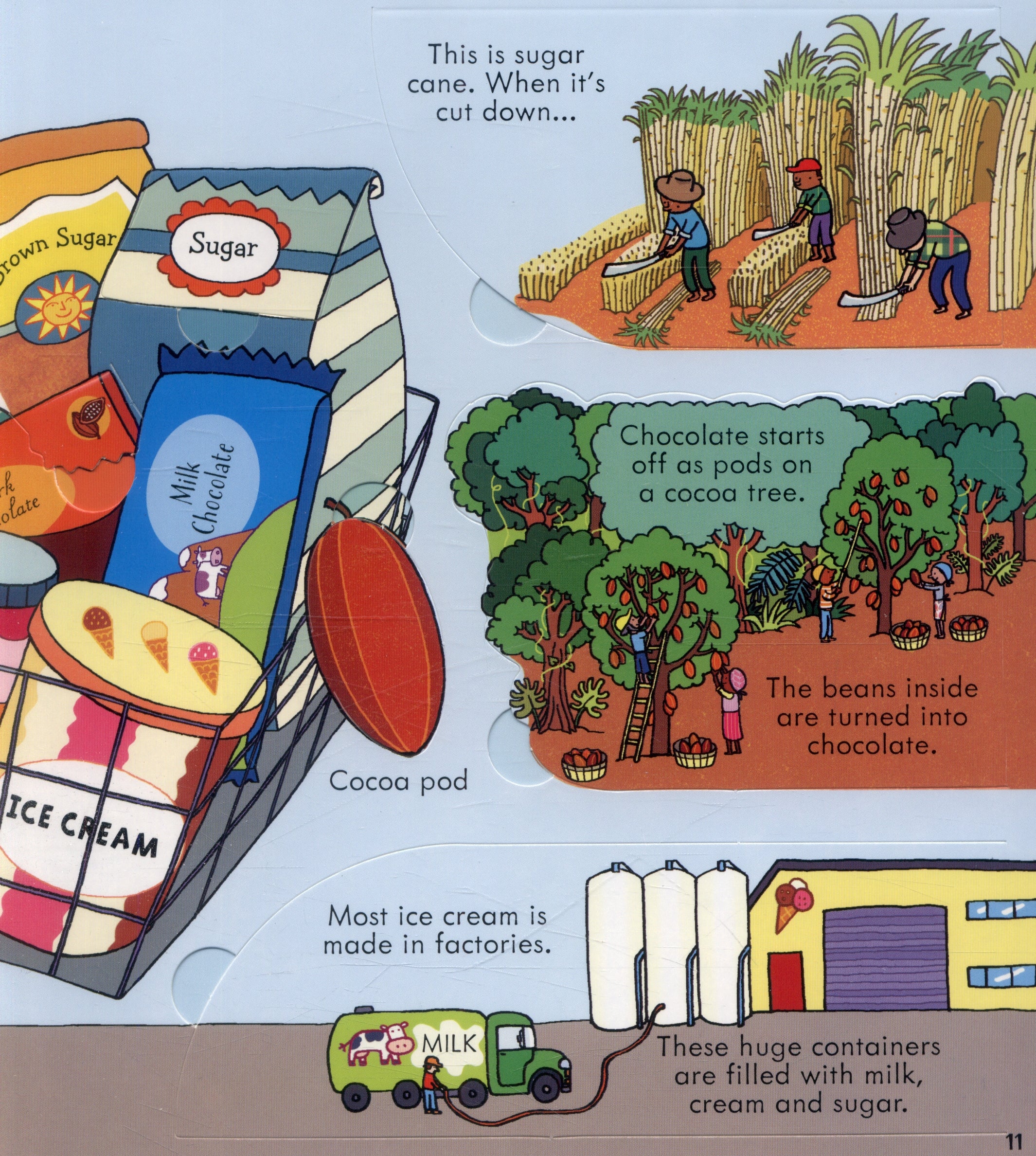 Usborne Lift-the-Flap Look Inside Book (10 Types) - Pupsik Singapore