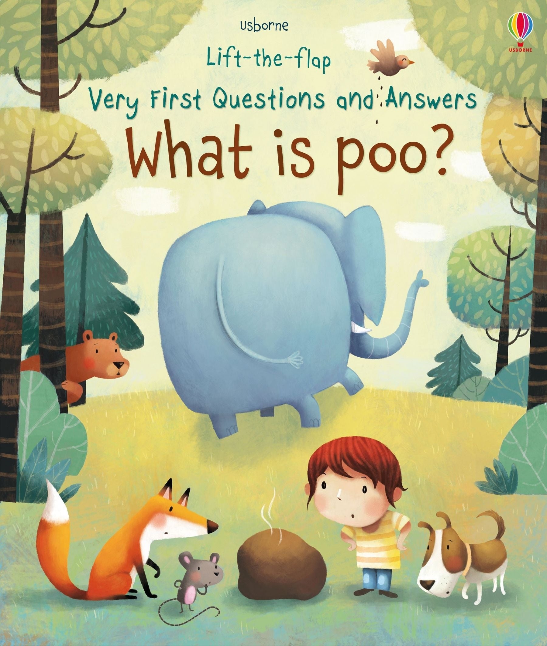 Usborne Lift-The-Flap Very First Questions And Answers Book (10 Titles) - Pupsik Singapore