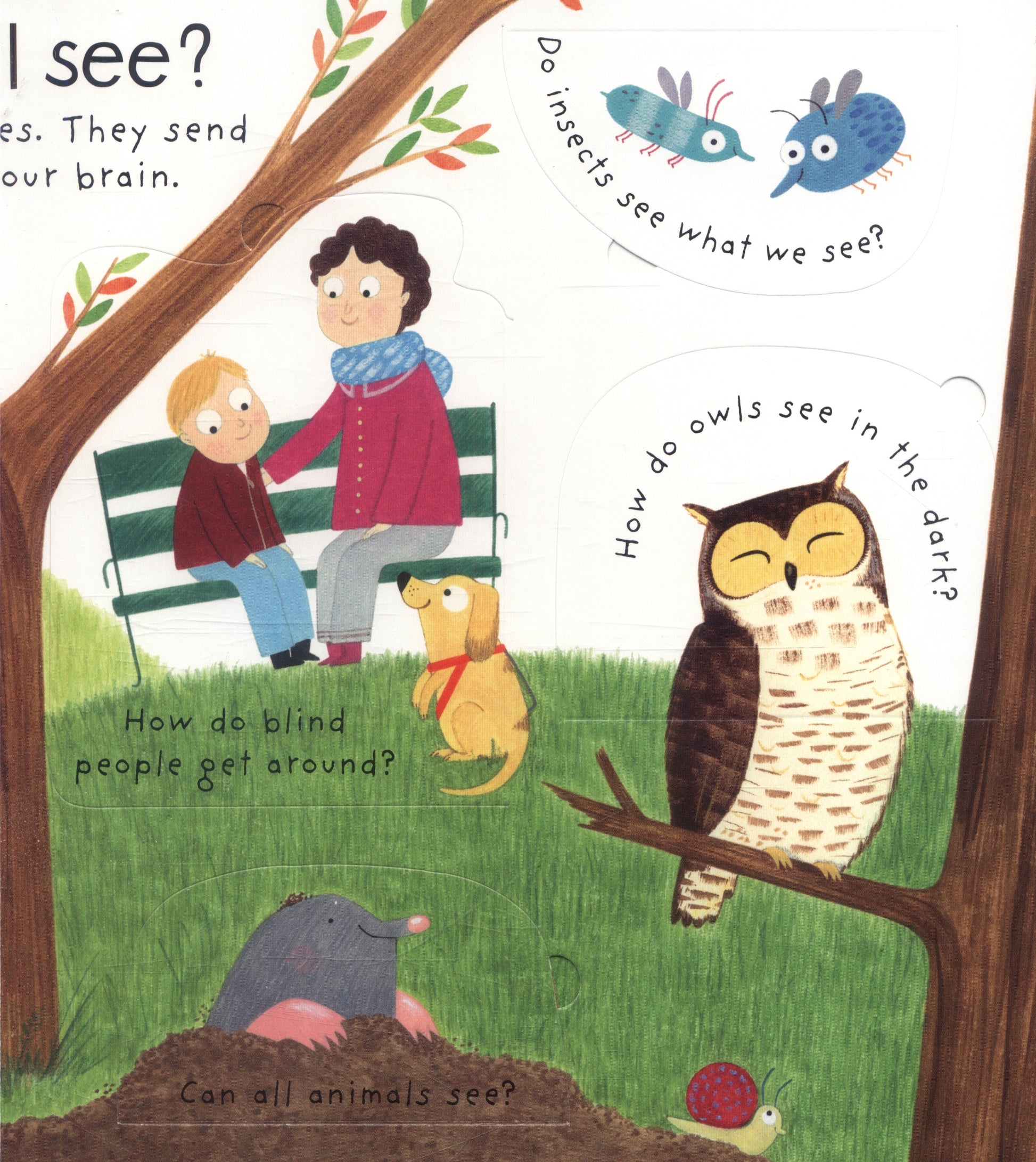 Usborne Lift-the-flap First Questions and Answers Board Book (2 Titles) - Pupsik Singapore