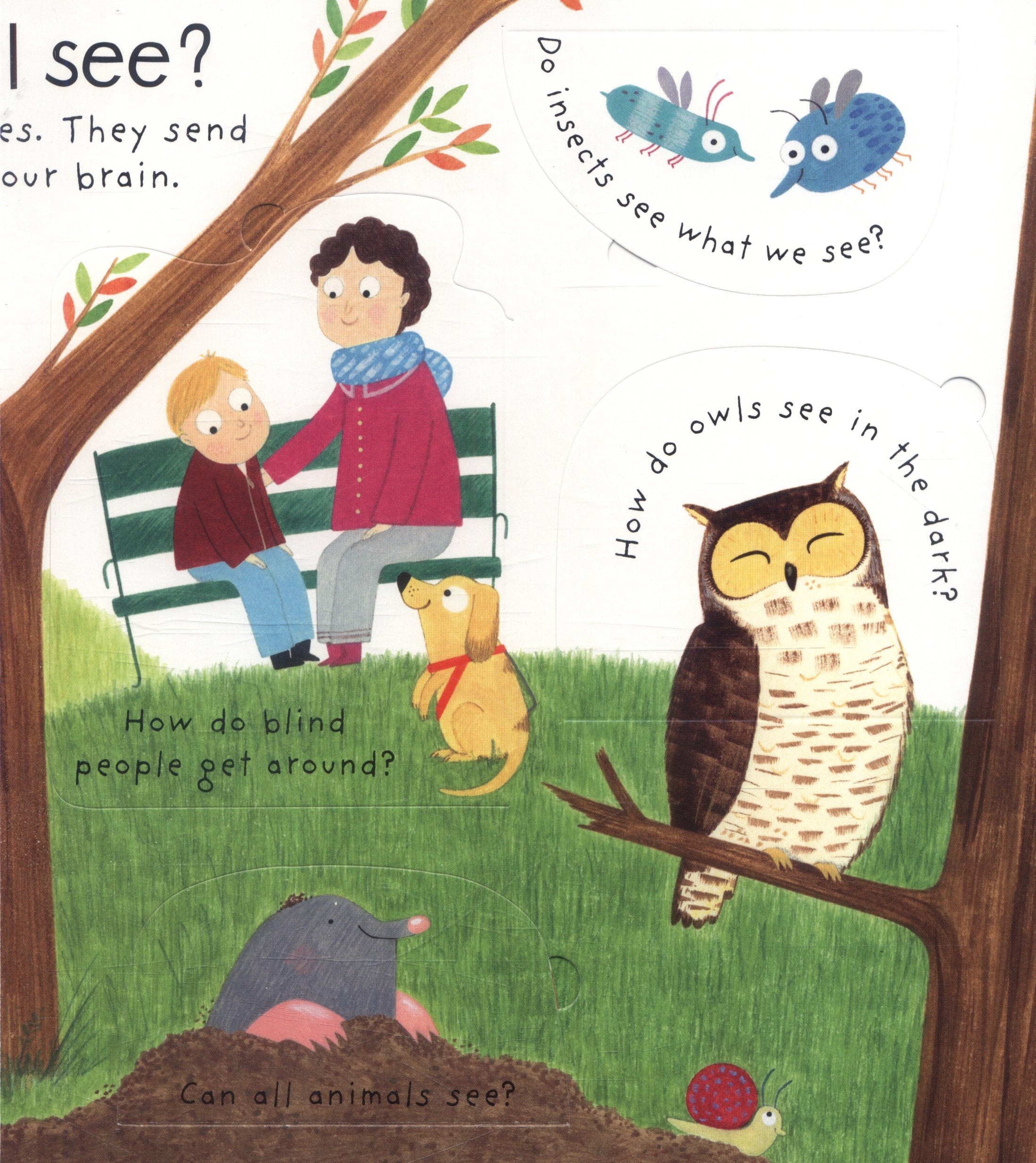 Usborne Lift-the-flap First Questions and Answers Board Book (2 Titles) - Pupsik Singapore