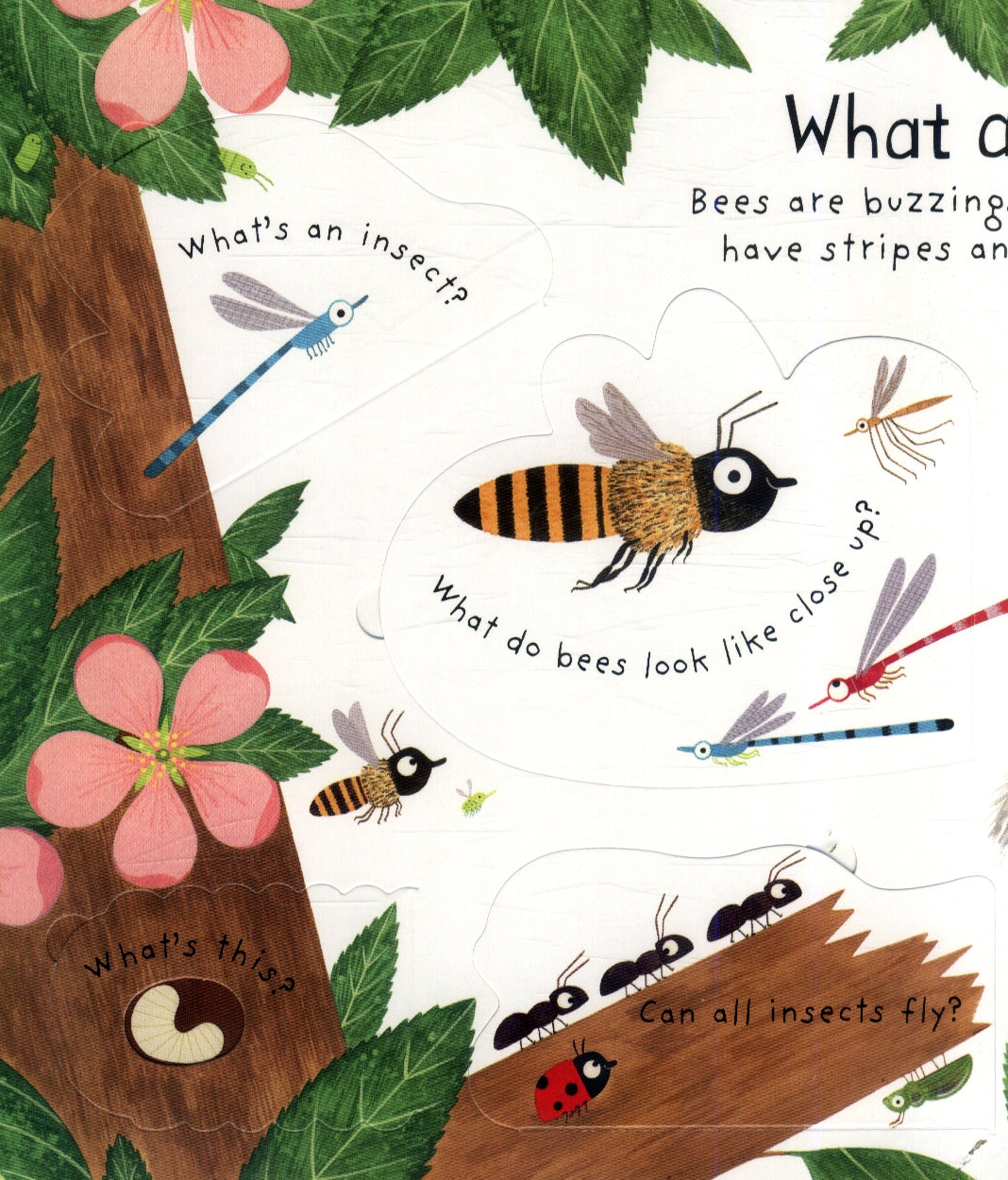 Usborne Lift-the-flap First Questions and Answers Board Book (2 Titles) - Pupsik Singapore