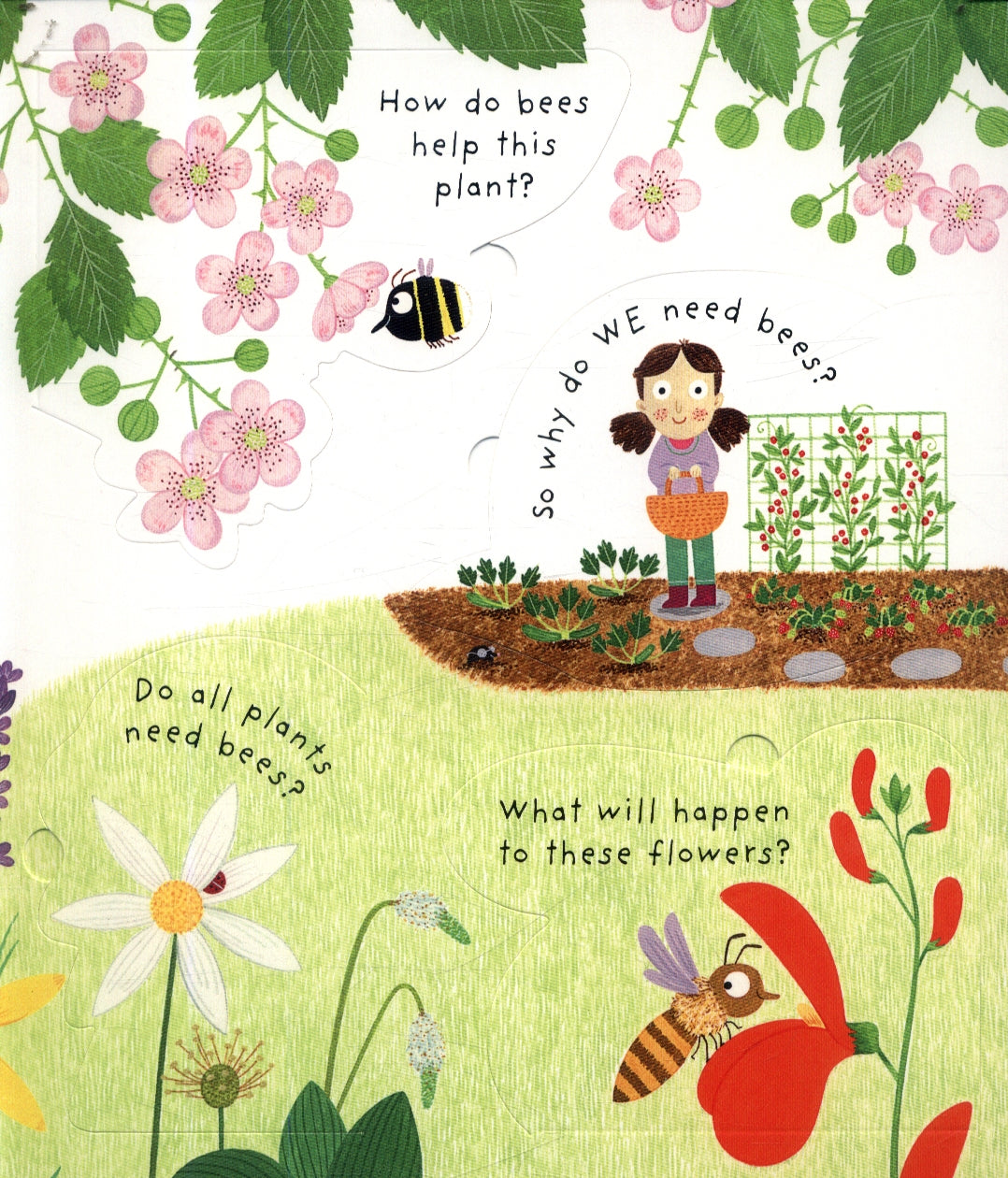 Usborne Lift-the-flap First Questions and Answers Board Book (2 Titles) - Pupsik Singapore