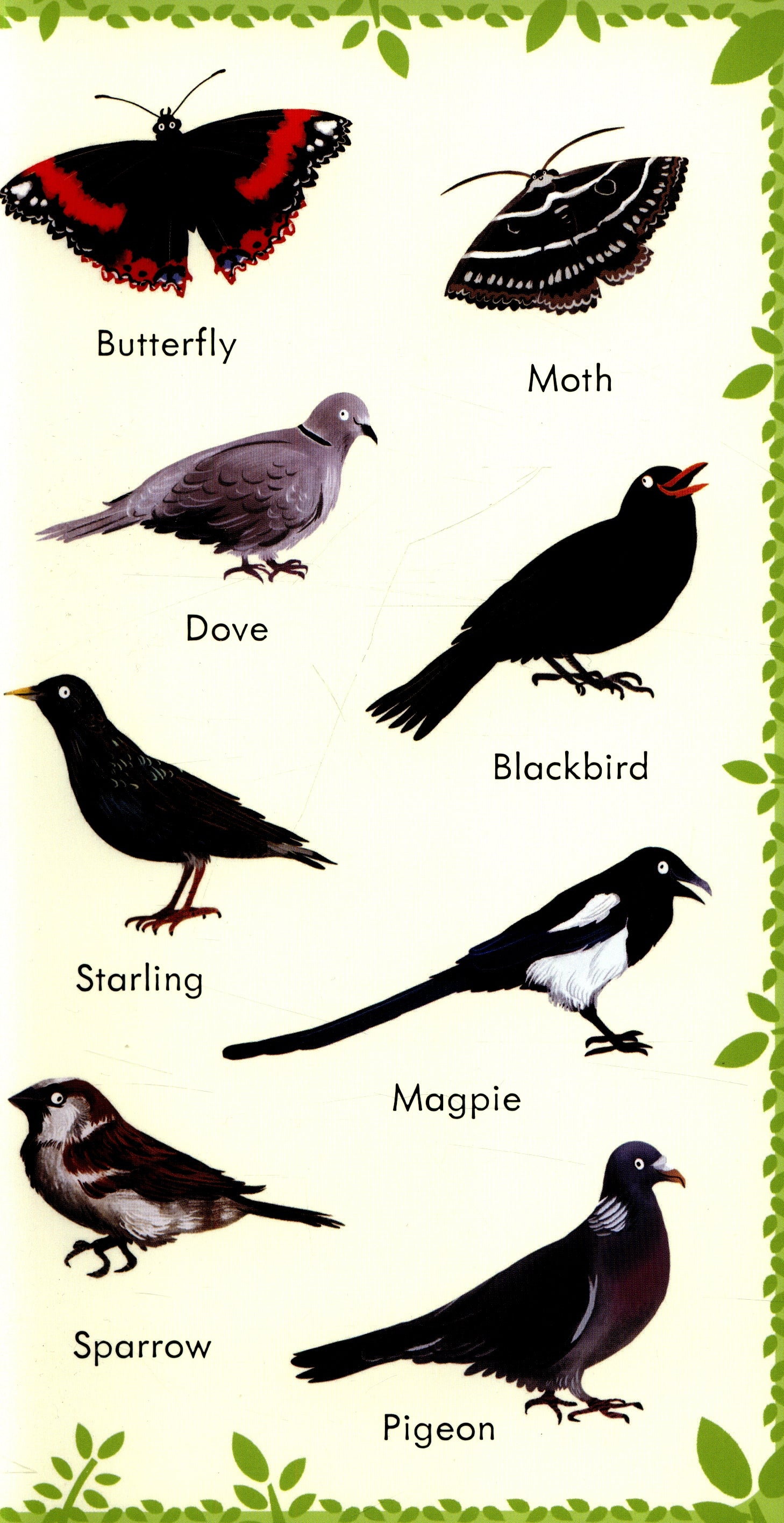 Usborne 199... Series Board Books (4 Titles) - Pupsik Singapore