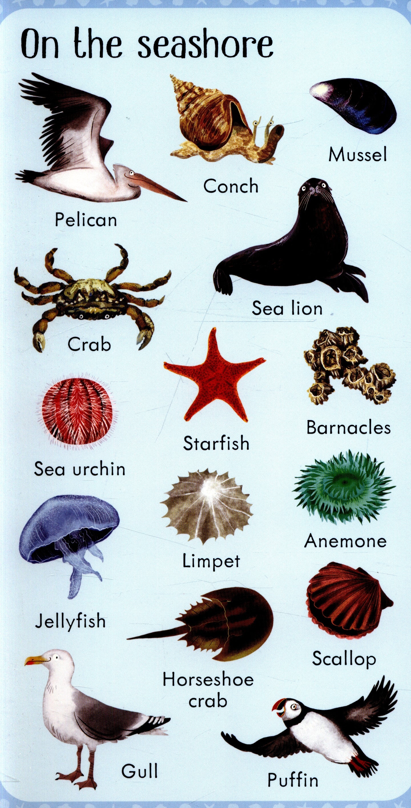 Usborne 199... Series Board Books (4 Titles) - Pupsik Singapore