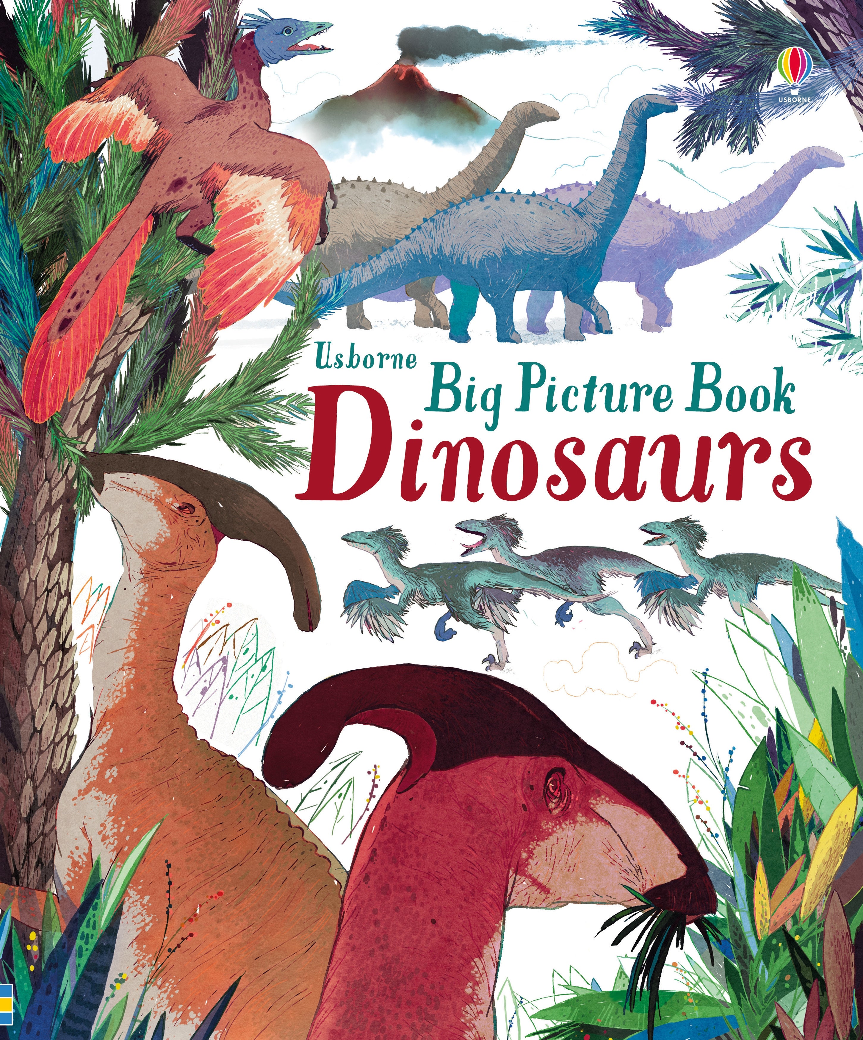 Usborne Big Picture Book - Dinosaurs