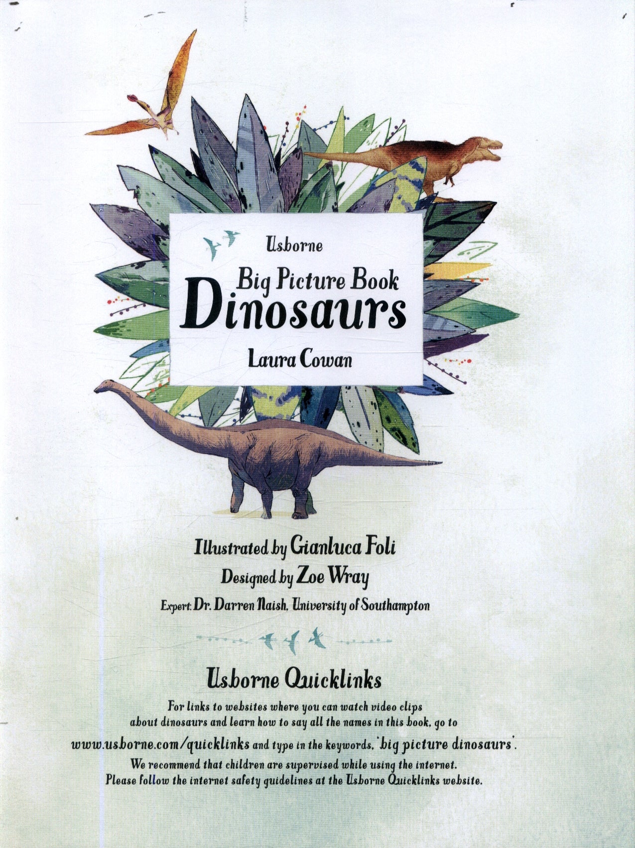 Usborne Big Picture Book - Dinosaurs