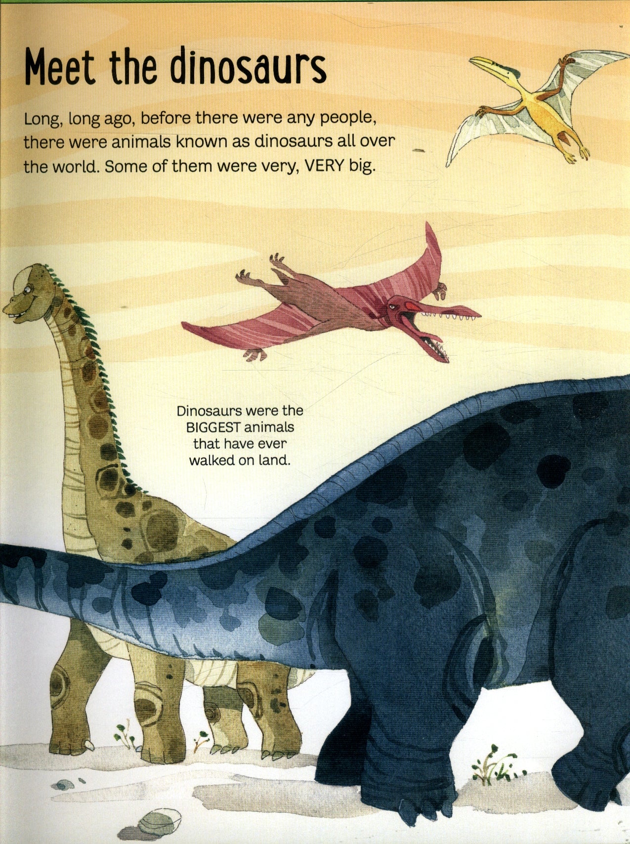 Usborne Big Book Of Dinosaurs Book