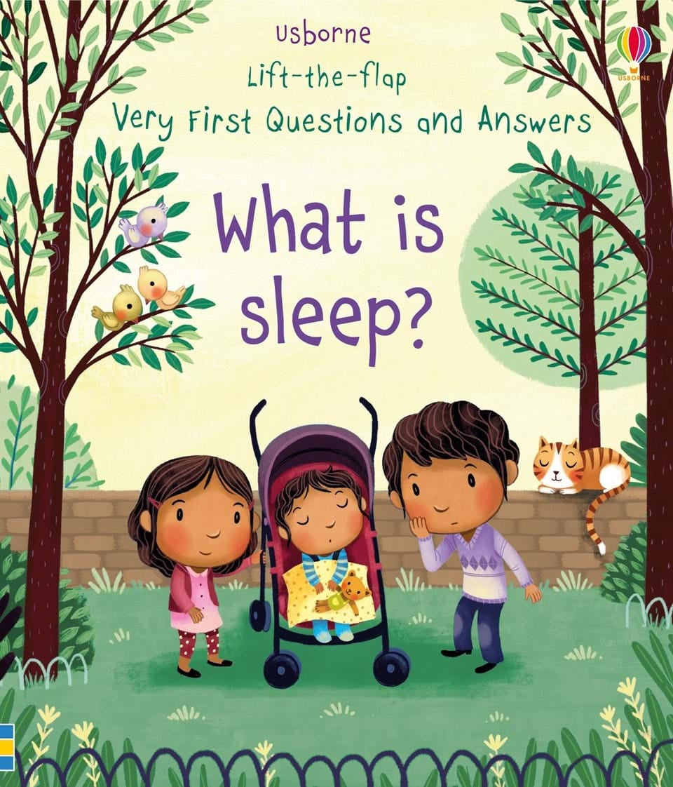 Usborne Lift-The-Flap Very First Questions And Answers Book (10 Titles) - Pupsik Singapore