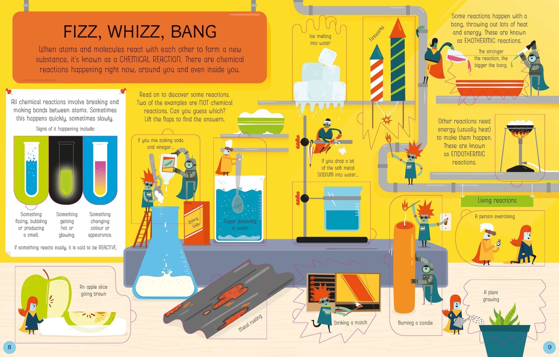 Usborne Lift-The-Flap See Inside Book (9 Titles) - Pupsik Singapore