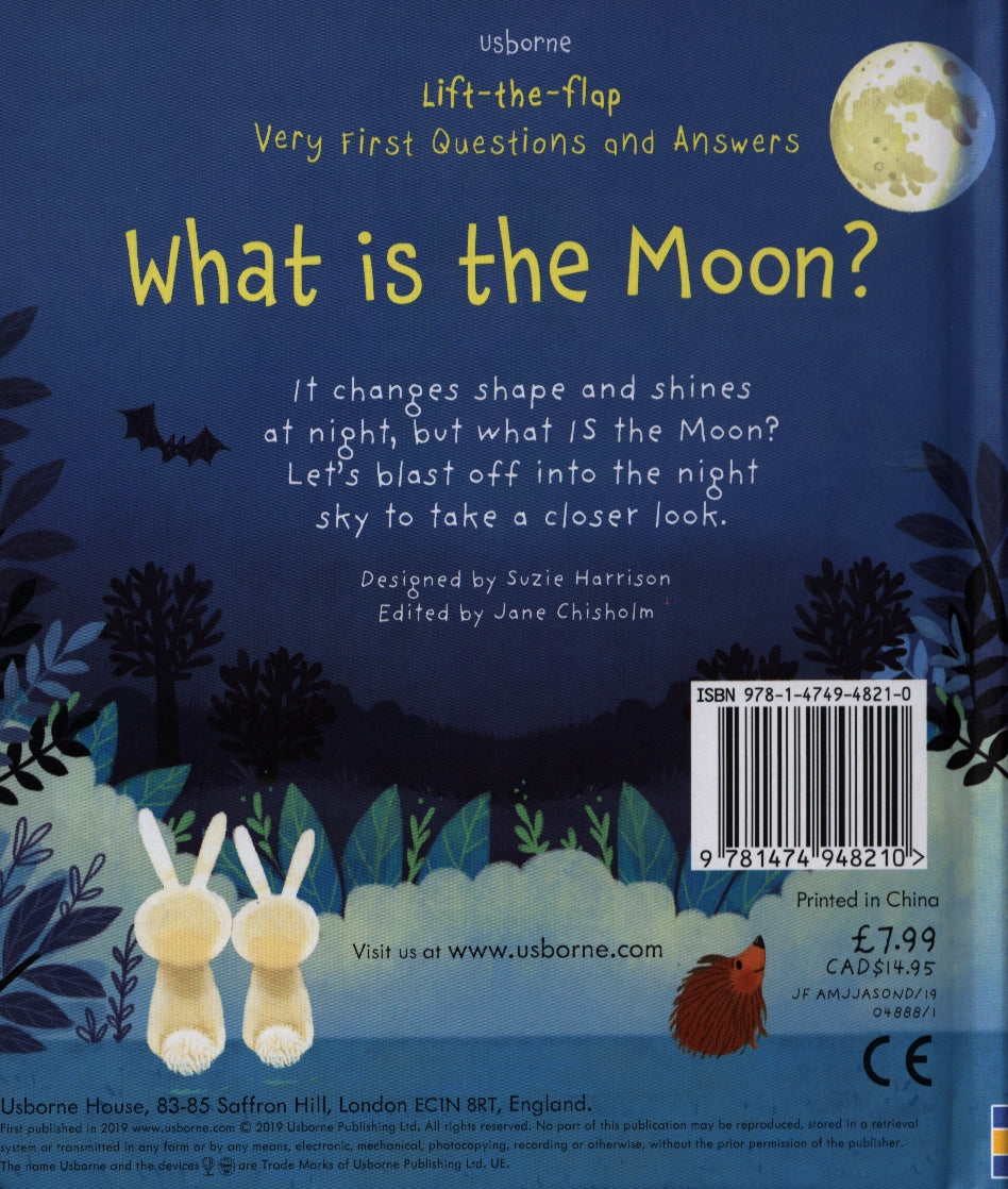 Usborne Lift-The-Flap Very First Questions And Answers Book (10 Titles) - Pupsik Singapore