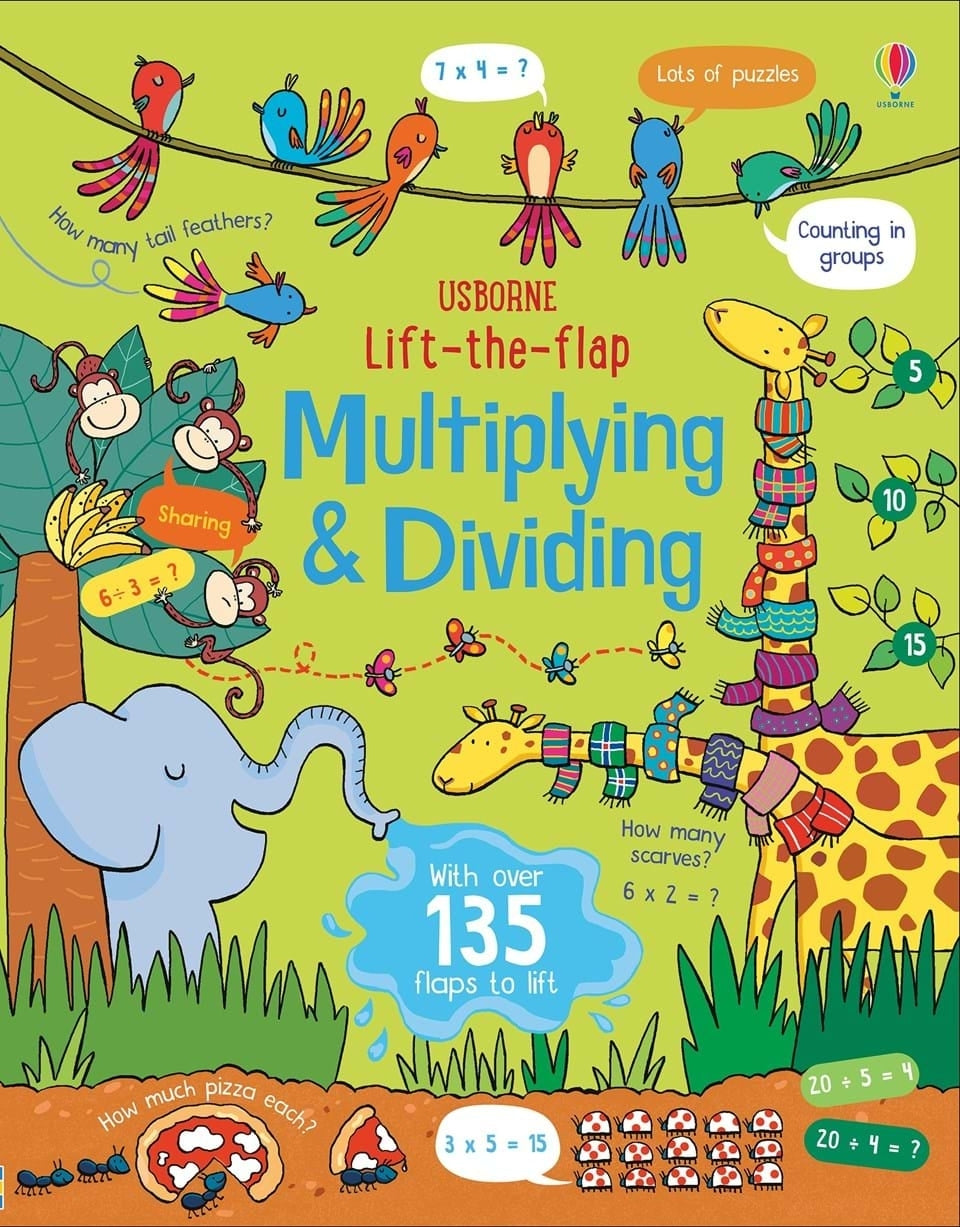 Usborne Lift-the-Flap Board Book Series - Age: 9+ (4 Titles)