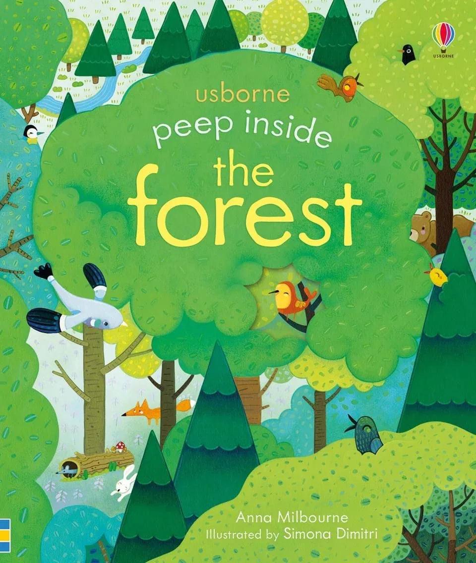 Usborne Peep Inside Learning Book (4 Titles) | Pupsik Singapore