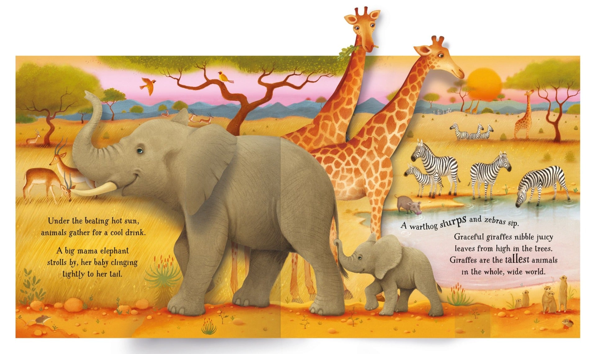 Usborne Pop-Up Animals Book