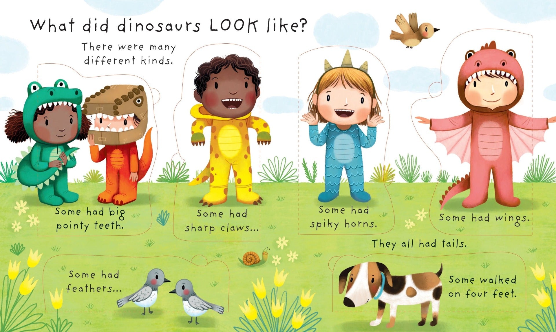 Usborne Lift-The-Flap Very First Questions And Answers Book (10 Titles) - Pupsik Singapore