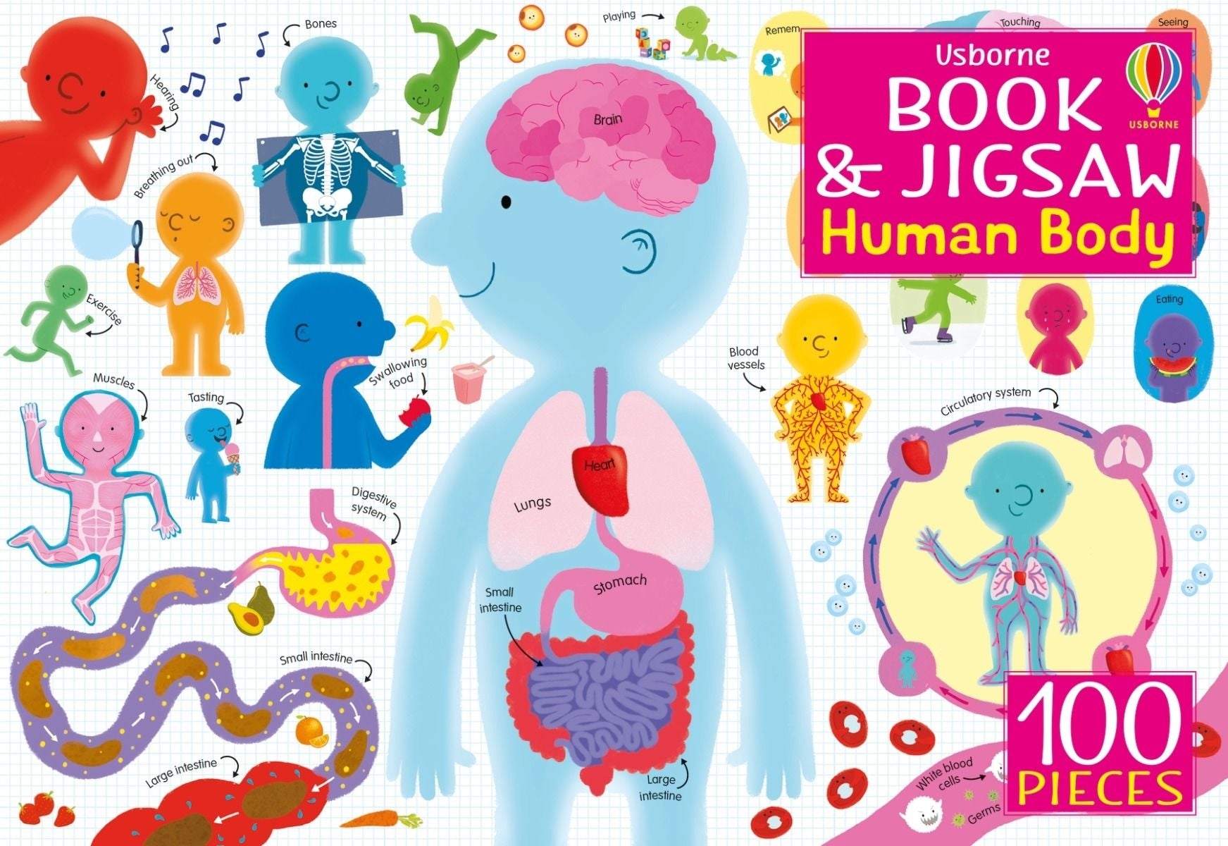 Usborne Book & Jigsaw (100pc) Series (5 Titles)