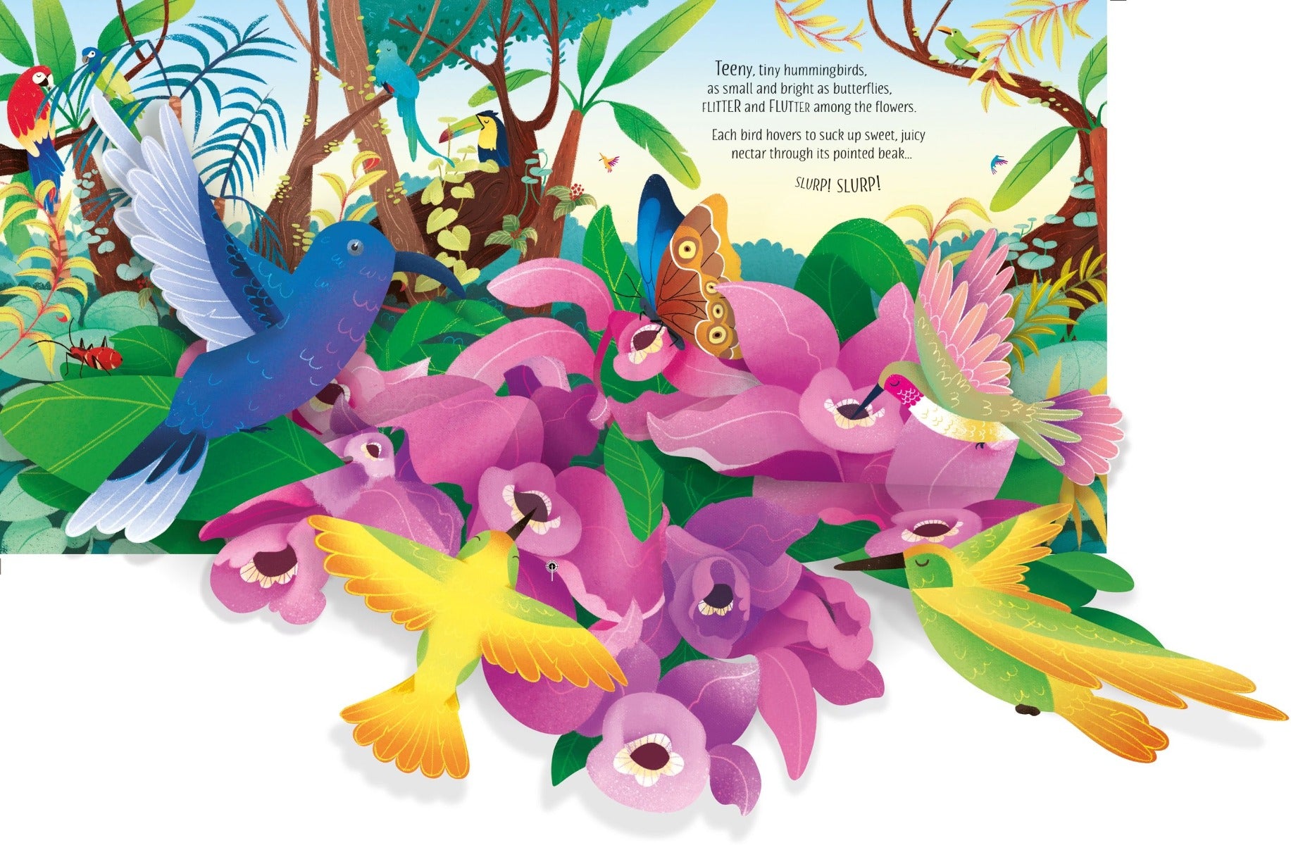 Usborne Pop-Up Birds Book