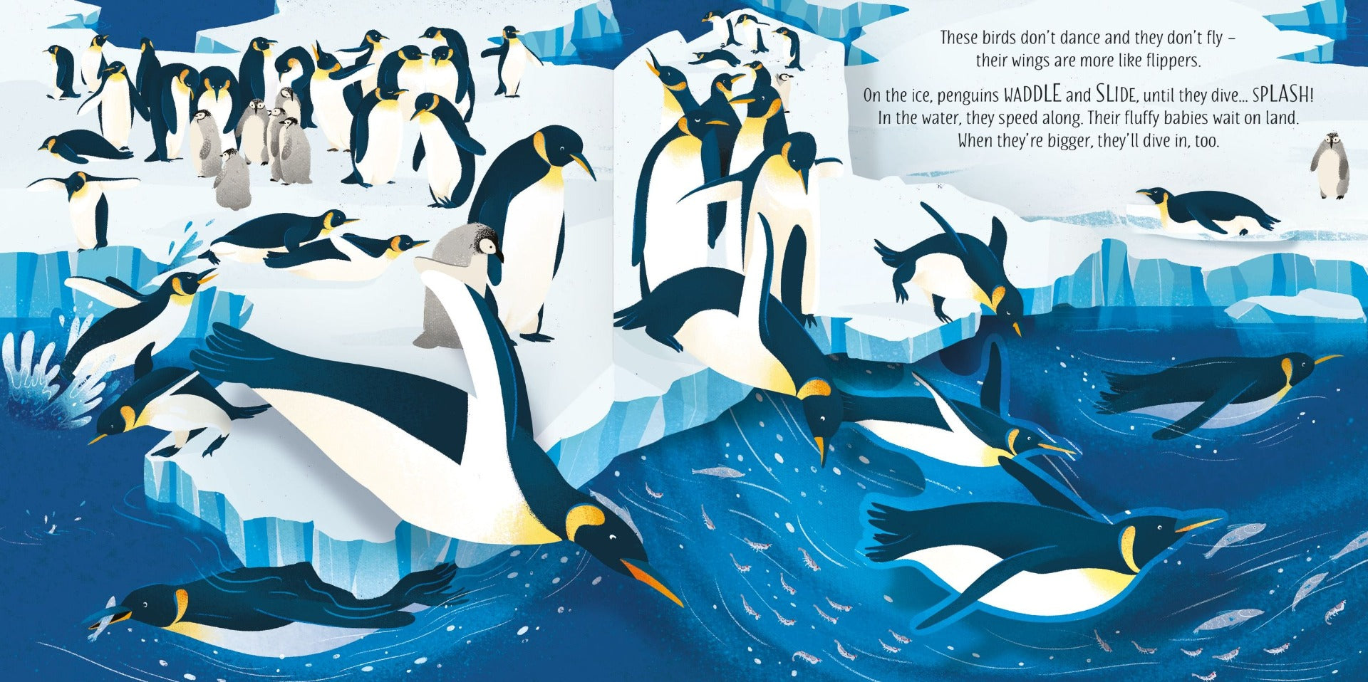 Usborne Pop-Up Birds Book