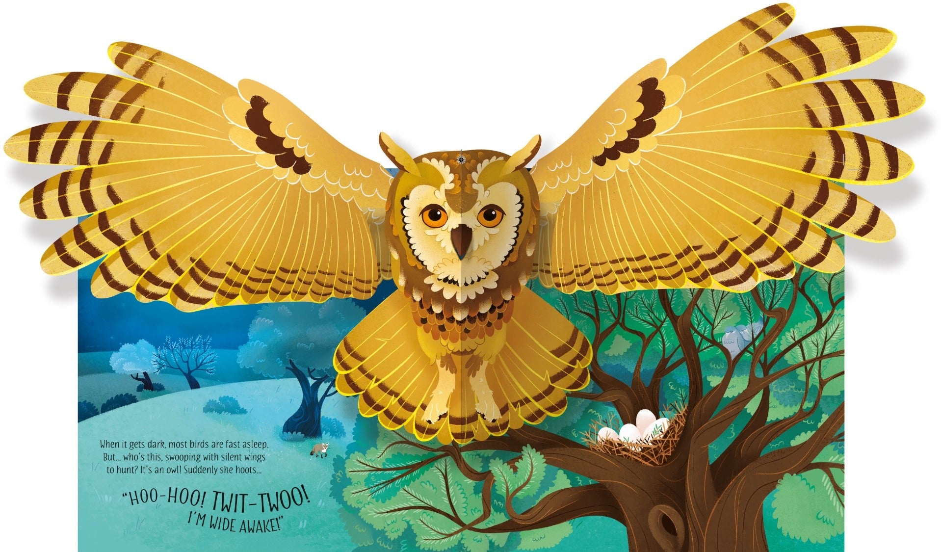 Usborne Pop-Up Birds Book