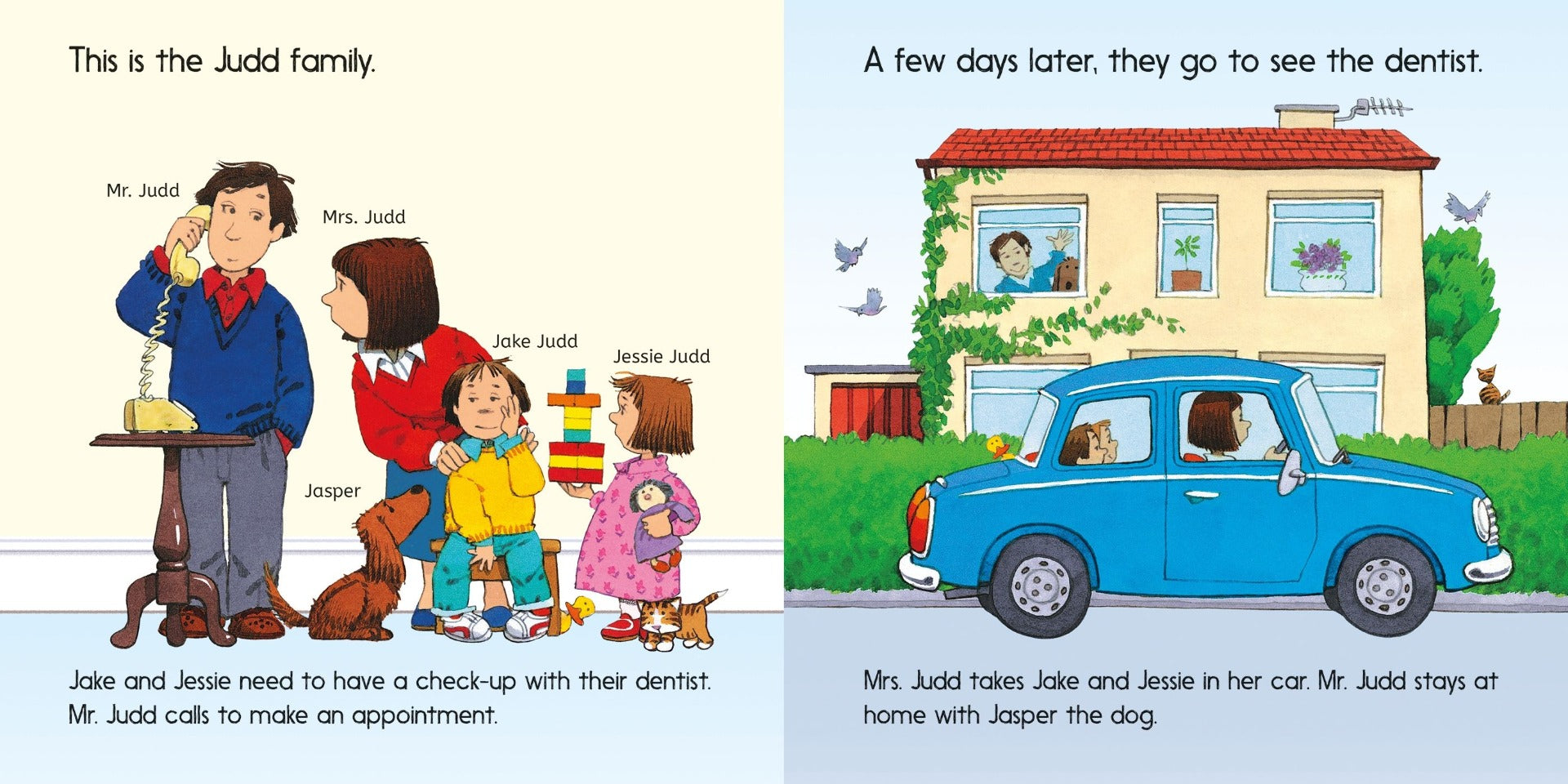 Usborne First Experiences - Going To The Dentist Story Book