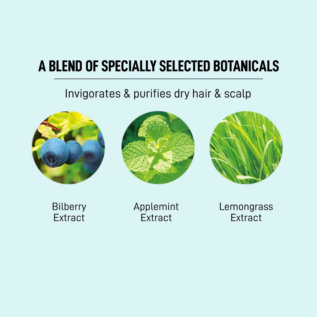 Moist Diane Botanical Refresh & Moist Shampoo (480ml)