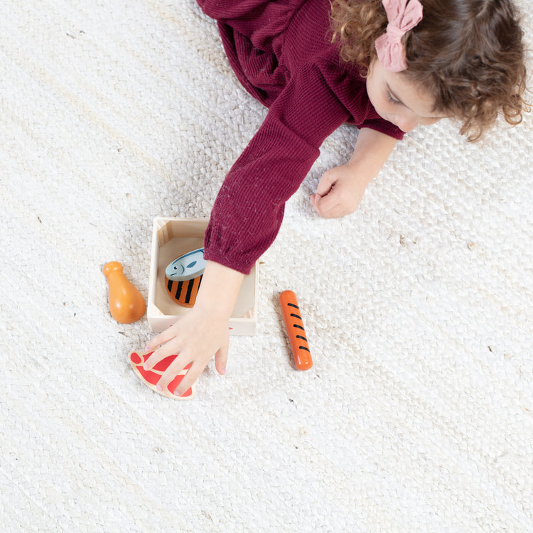 Melissa & Doug Wooden Food Groups (3 Types)