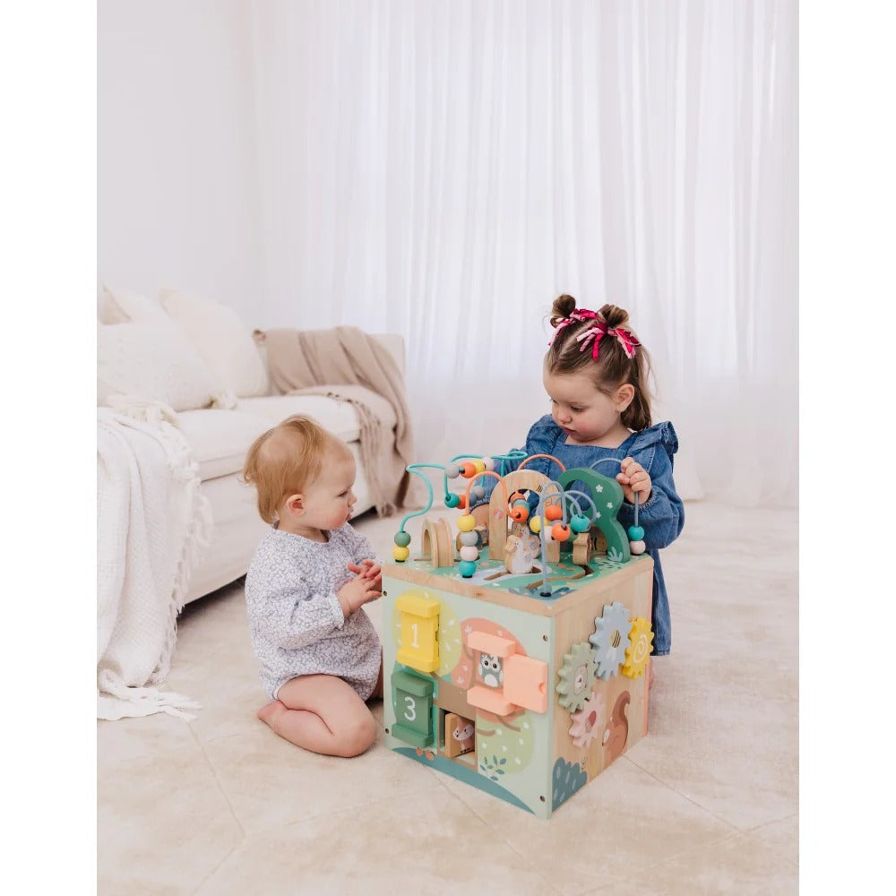 Bubble Wooden Activity Centre