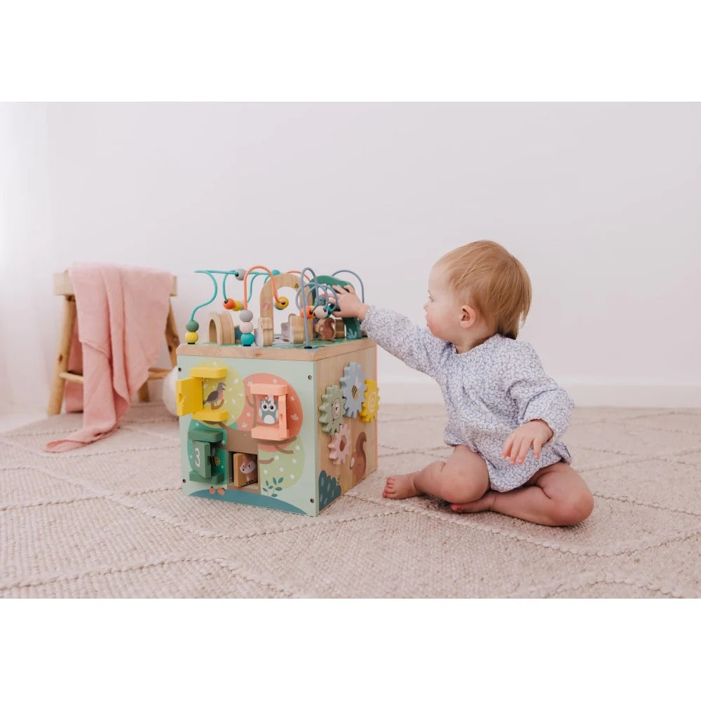 Bubble Wooden Activity Centre