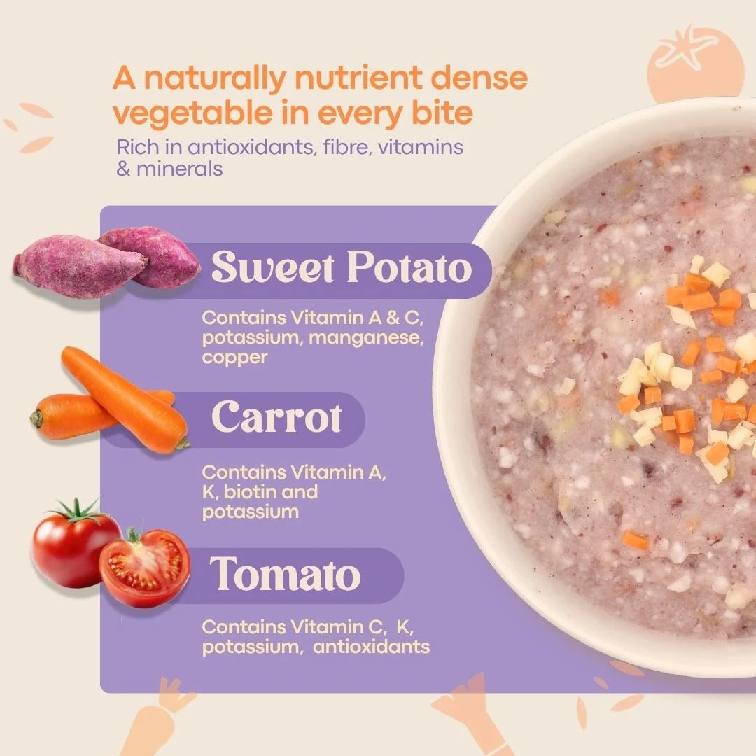 AVIA Berry Quick Porridge, 2pks/box - ABC Sweet Potato, Carrot & Tomato (Exp 07/28) | SG Homemade