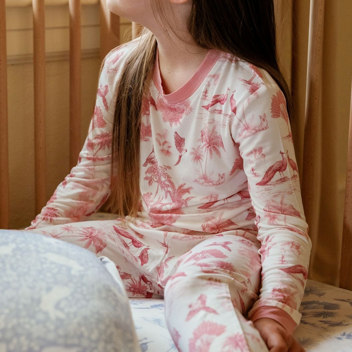 House of Holly Long Sleeve T-Shirt and Pants Pyjamas Set - Birdsong Rose (2 Sizes)