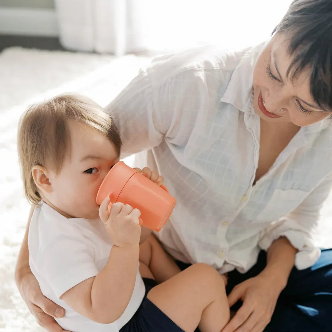 Dr. Brown’s Milestones Cheers360 Cup with Handles, 7 oz/200 mL (2 Colors) | 6M+