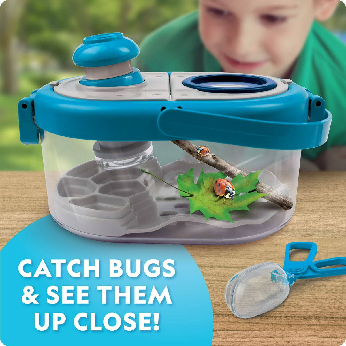National Geographic Mega Bug Habitat - Pupsik Singapore